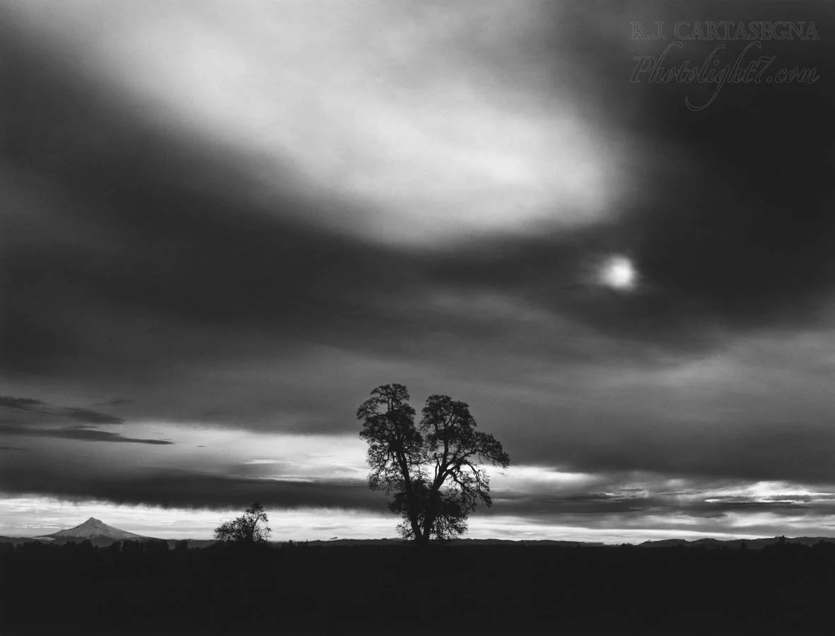 Mt. Hood & Oak Tree 1985