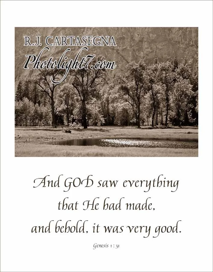 009a-Genesis 1 31 Four.jpg