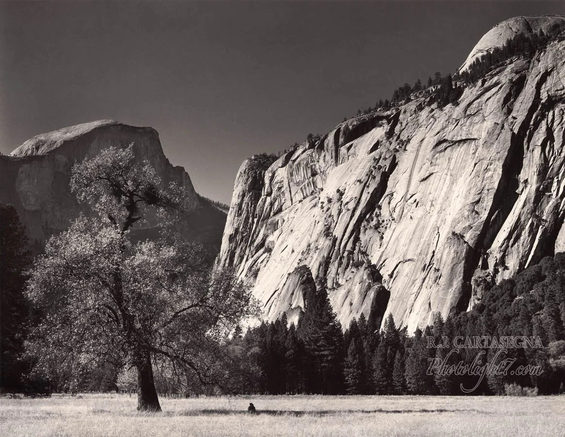Yosemite, Oak Tree & Half Dome 1986