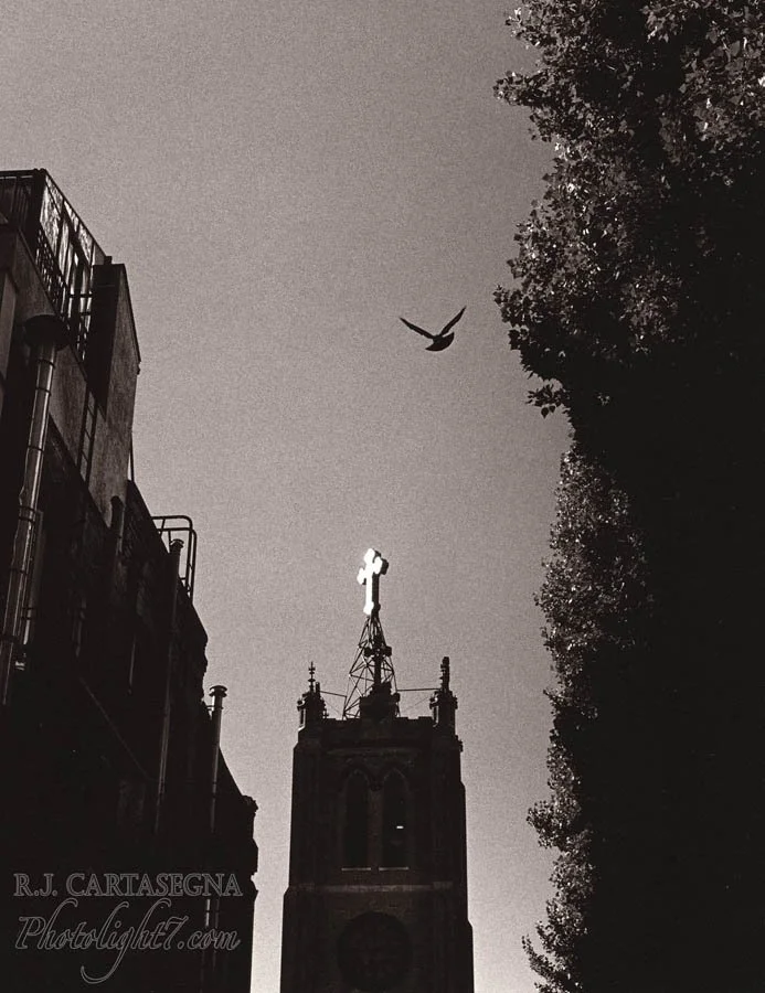 Bird & Cross SF 1993