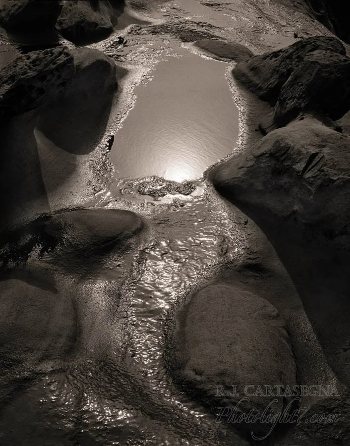 Shore Acres Tide Pool 2002