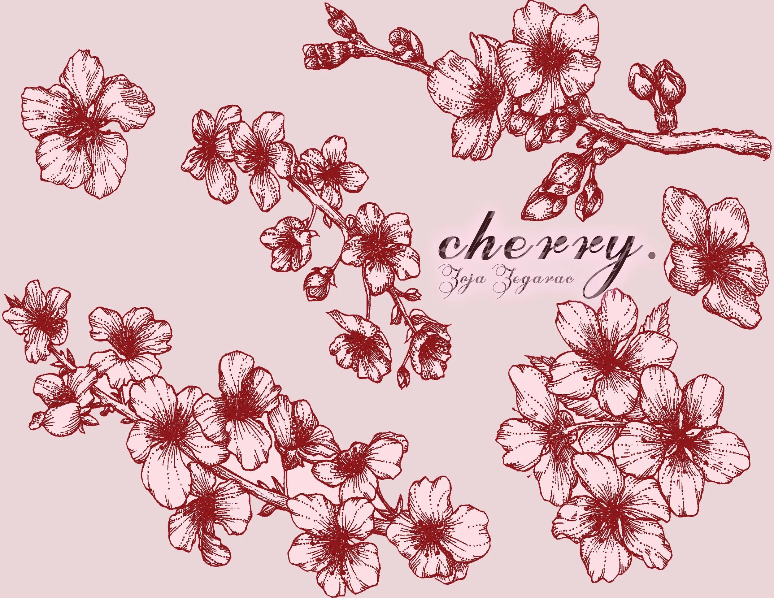 Zoja Zegarac Knitwear final project_Page_01.jpg