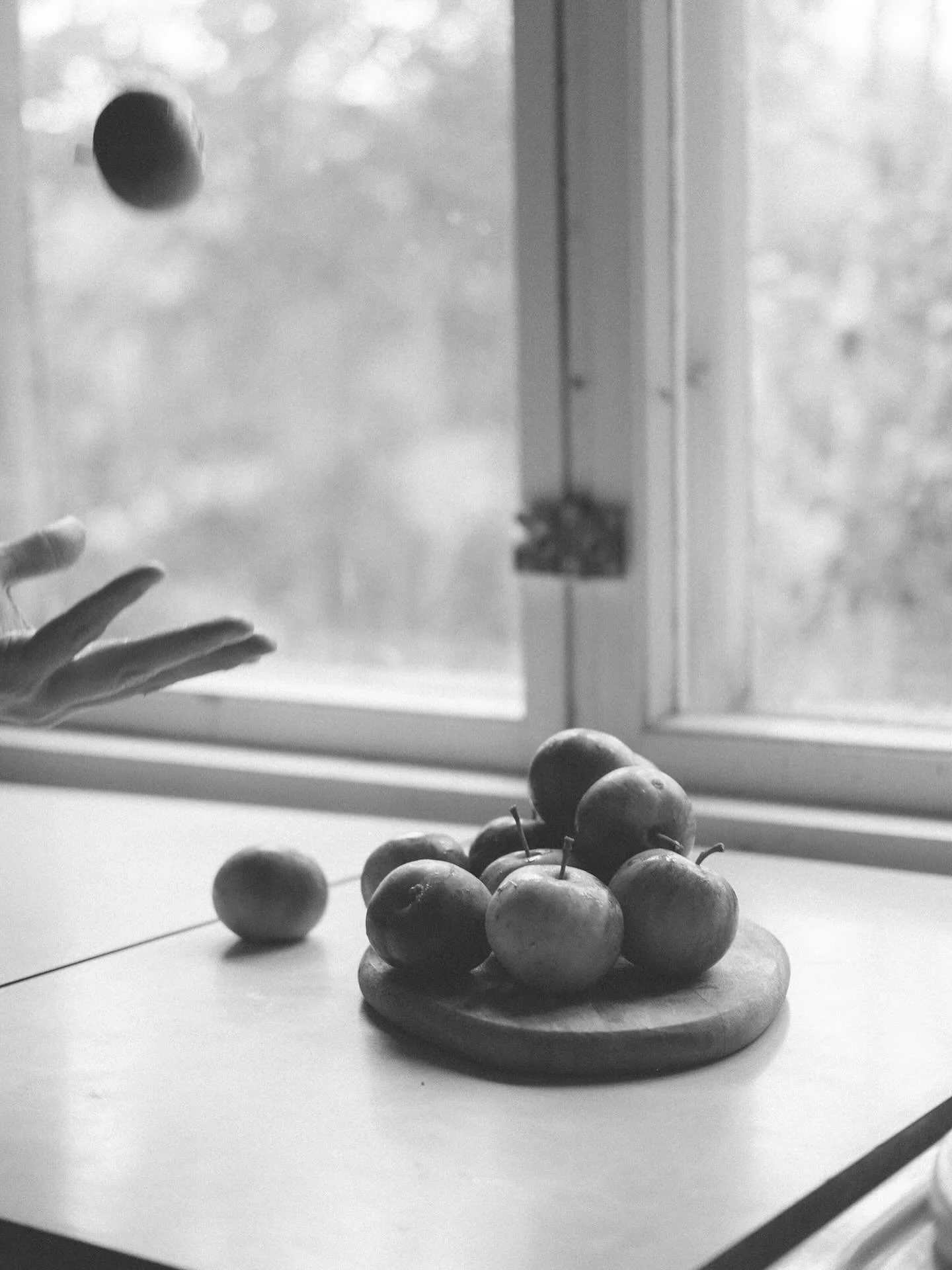 Did you know you could be eligible to claim back your Well Clinic consultation fees through health insurance?
I am a registered nutritionist with the Clinical Nutrition Association (CNA) who is recognised by Southern Cross Health Insurance, NIB Heal