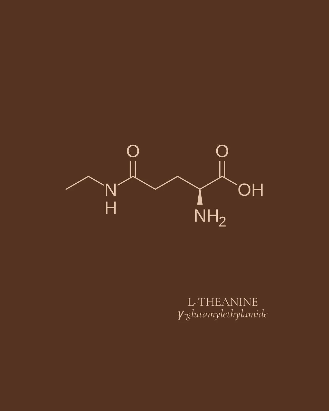 NUTRIENT HIGHLIGHT: L-theanine

L-theanine is a unique amino acid present almost exclusively in the tea plant 𝒞𝒶𝓂𝑒𝓁𝓁𝒾𝒶 𝓈𝒾𝓃𝑒𝓃𝓈𝒾𝓈. 

It supports focus, a healthy stress response and mind relaxation. 

Other benefits include:
&bull; main
