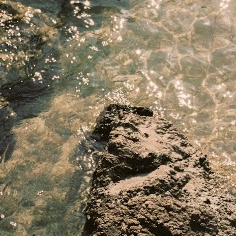 HAPPY NEW YEAR! Wishing you a healthy 2026 ✨ 

// The future belongs to those who believe in the beauty of their dreams ~ Eleanor Roosevelt