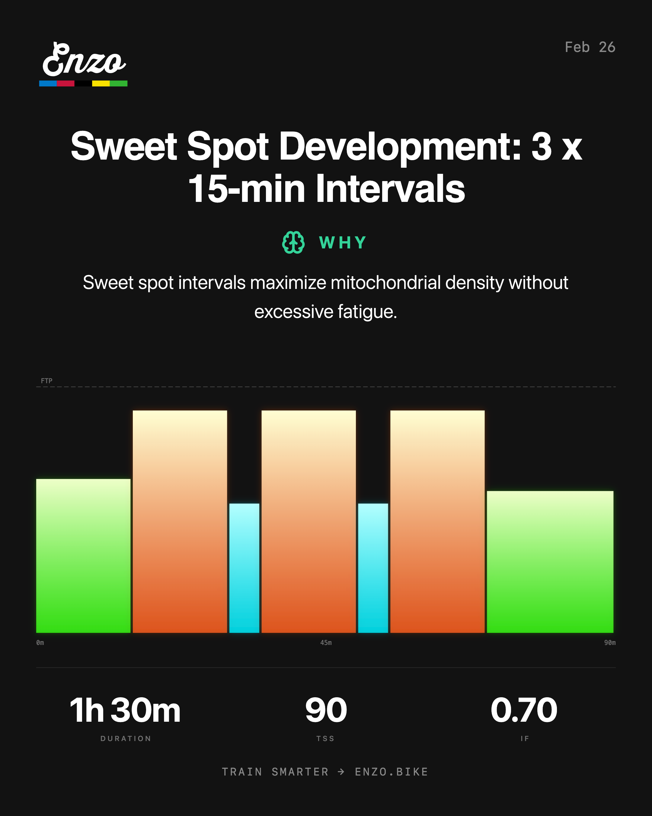 Enzo personalized workout