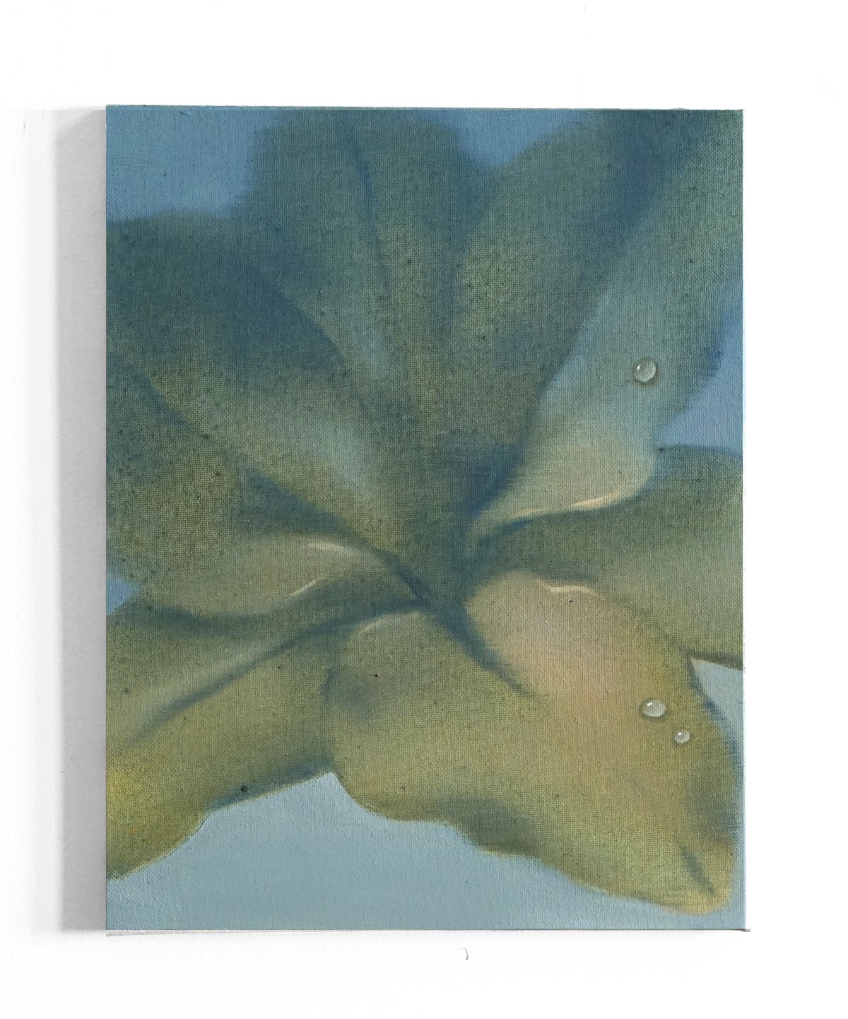 Morning star.  11"x14"