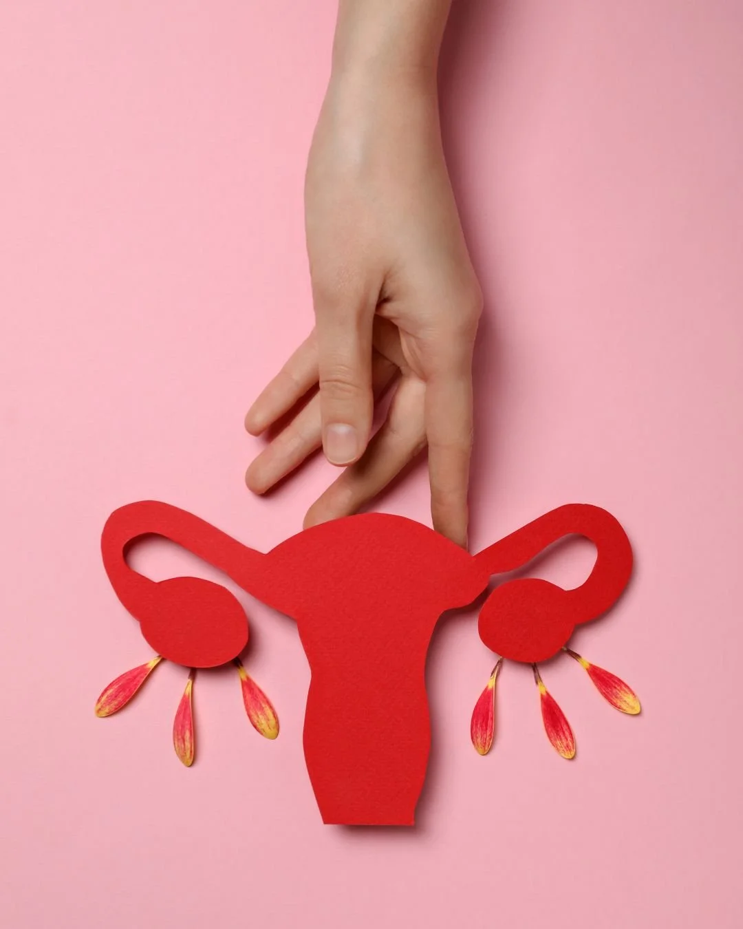 image of a drawn uterus