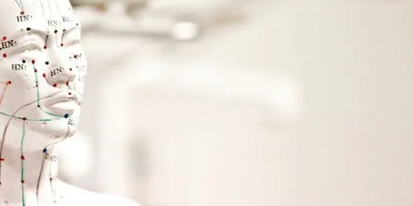 image of acupuncture model head