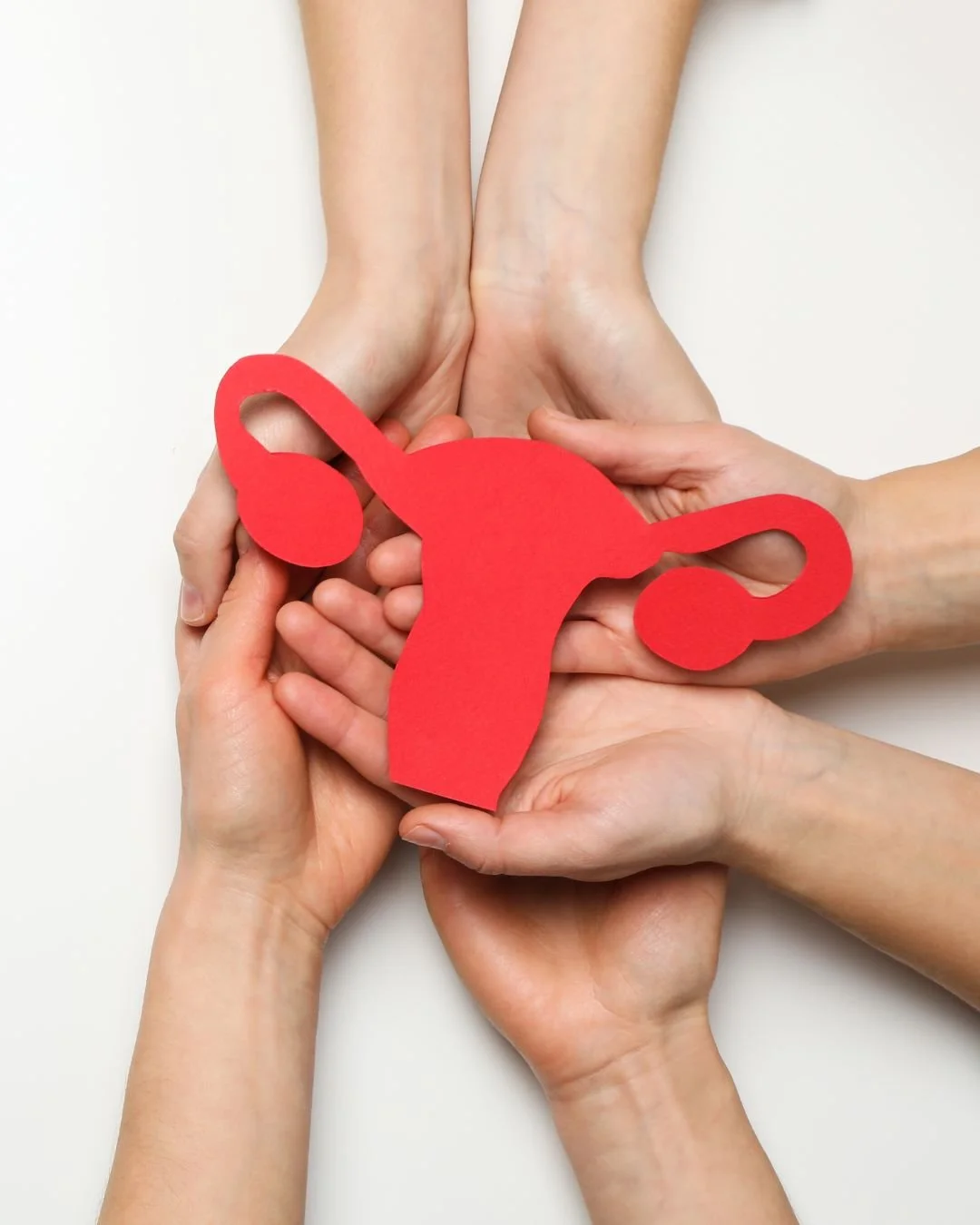 three hands holding an image of a uterus