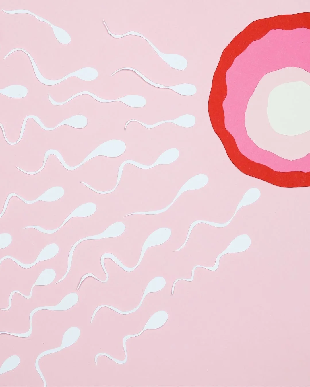 image of drawing sperm heading to egg