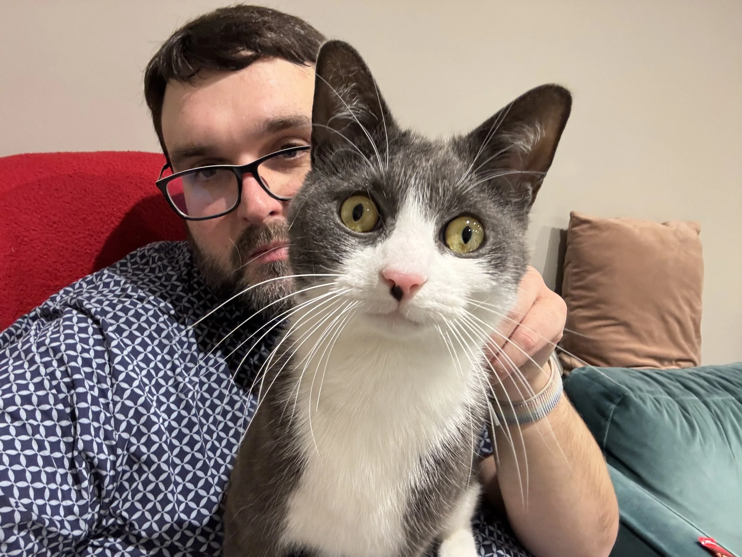 A person wearing glasses and a patterned shirt sitting on a couch with a gray and white cat in the foreground. The cat has large yellow eyes and is looking directly at the camera. There is a red blanket and some cushions in the background.
