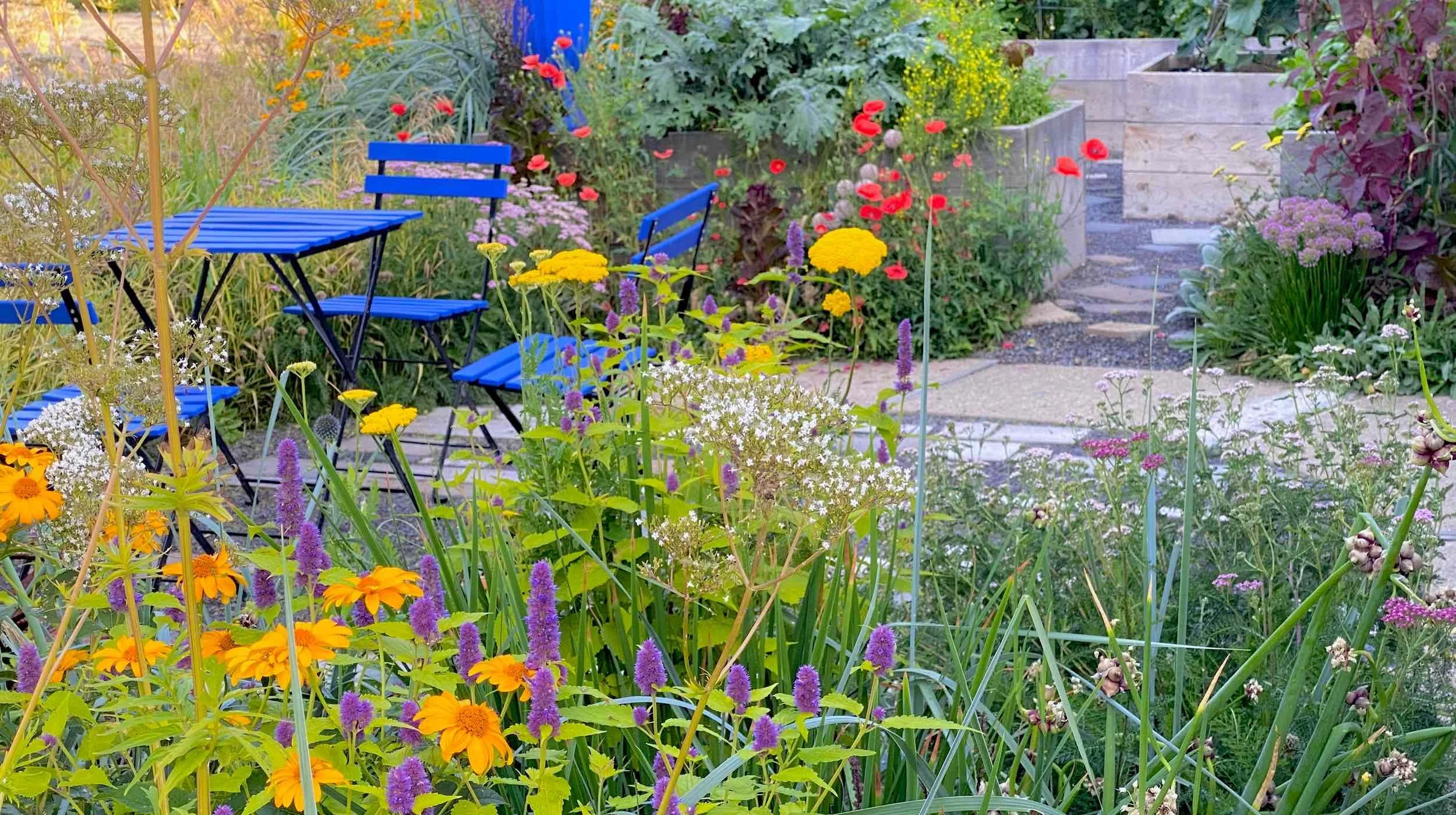 Blue patio furniture sits within Garden Living, surrounded by orange, purple and white summer blooms