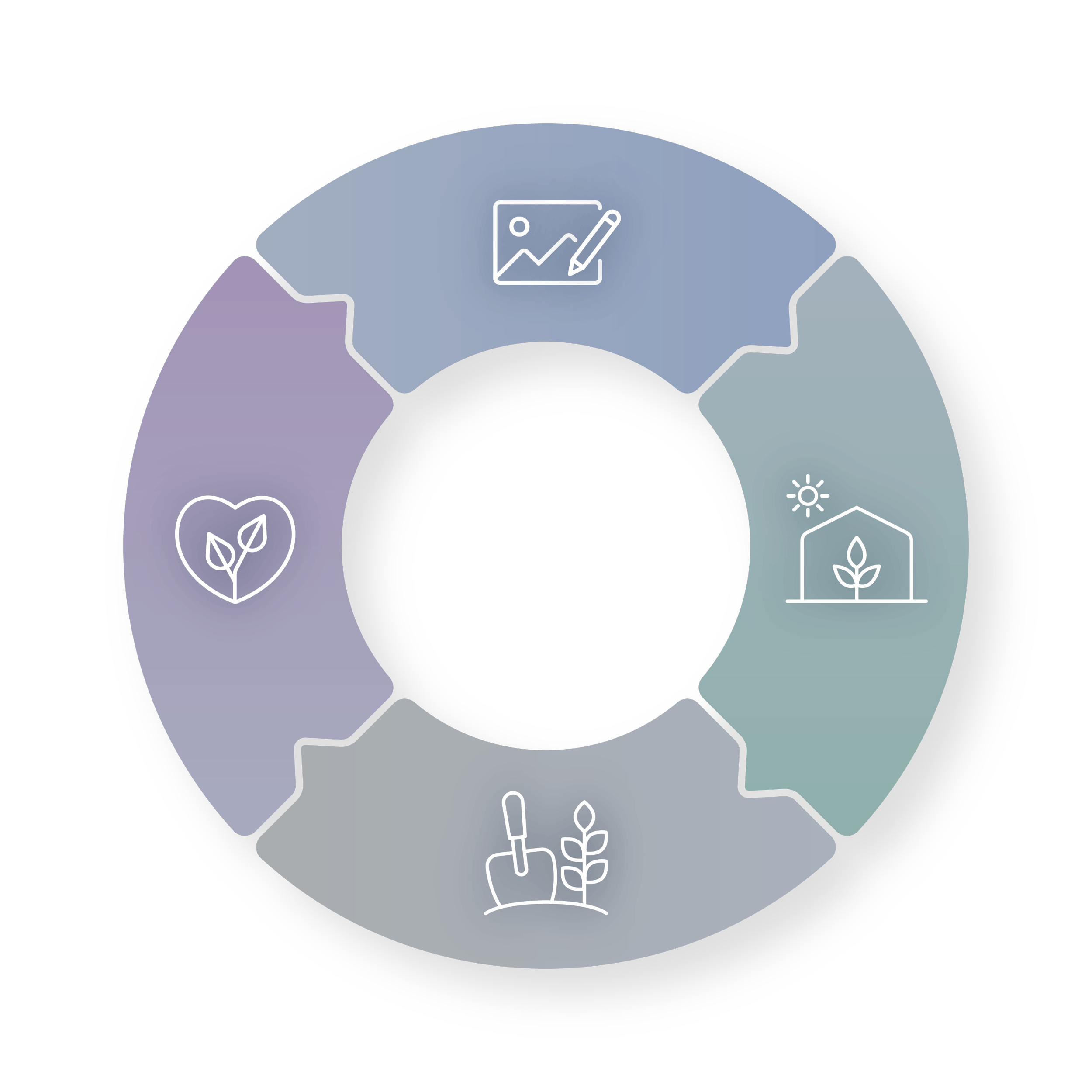 PolyFlora Pathway diagram showing how design, procurement, planting, and stewardship support a prairie garden planting plan.
