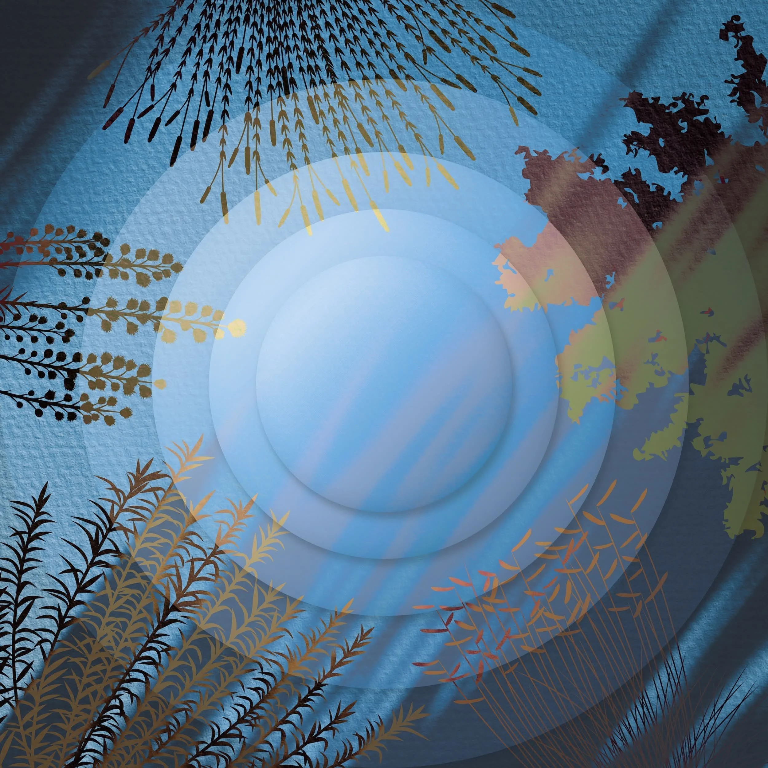 Conceptual botanical background with paper texture and blue ripple rings used for the Store CTA section.