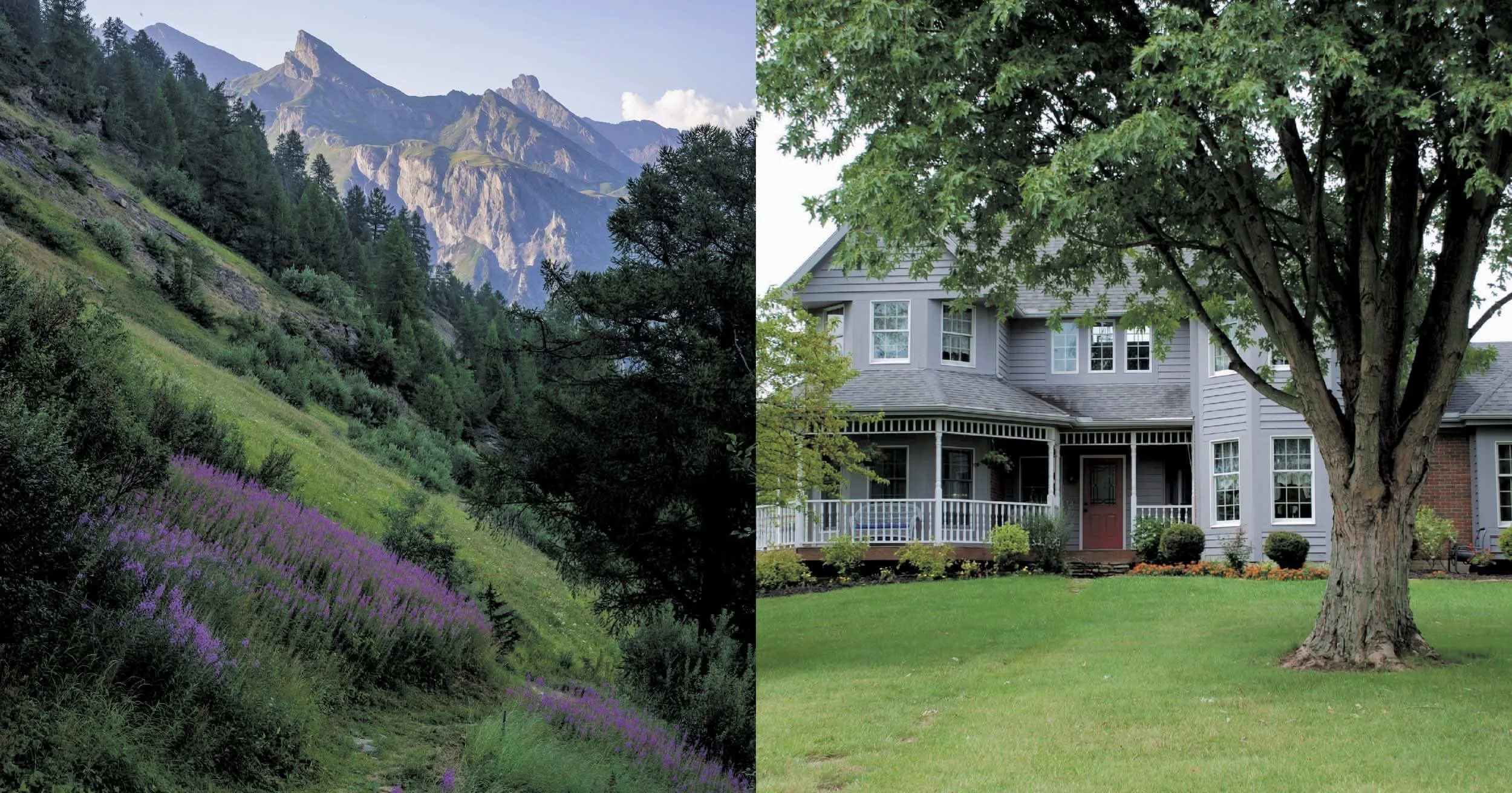 The Roots of Naturalistic Planting Design