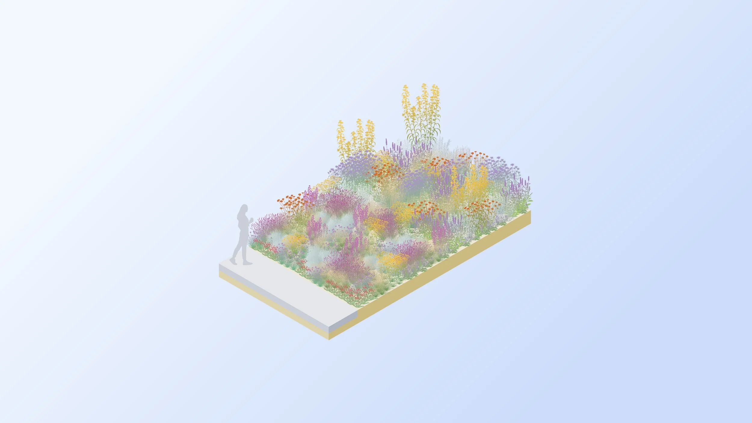 Concept 3D meadow section render illustrating naturalistic planting design options with a figure for scale