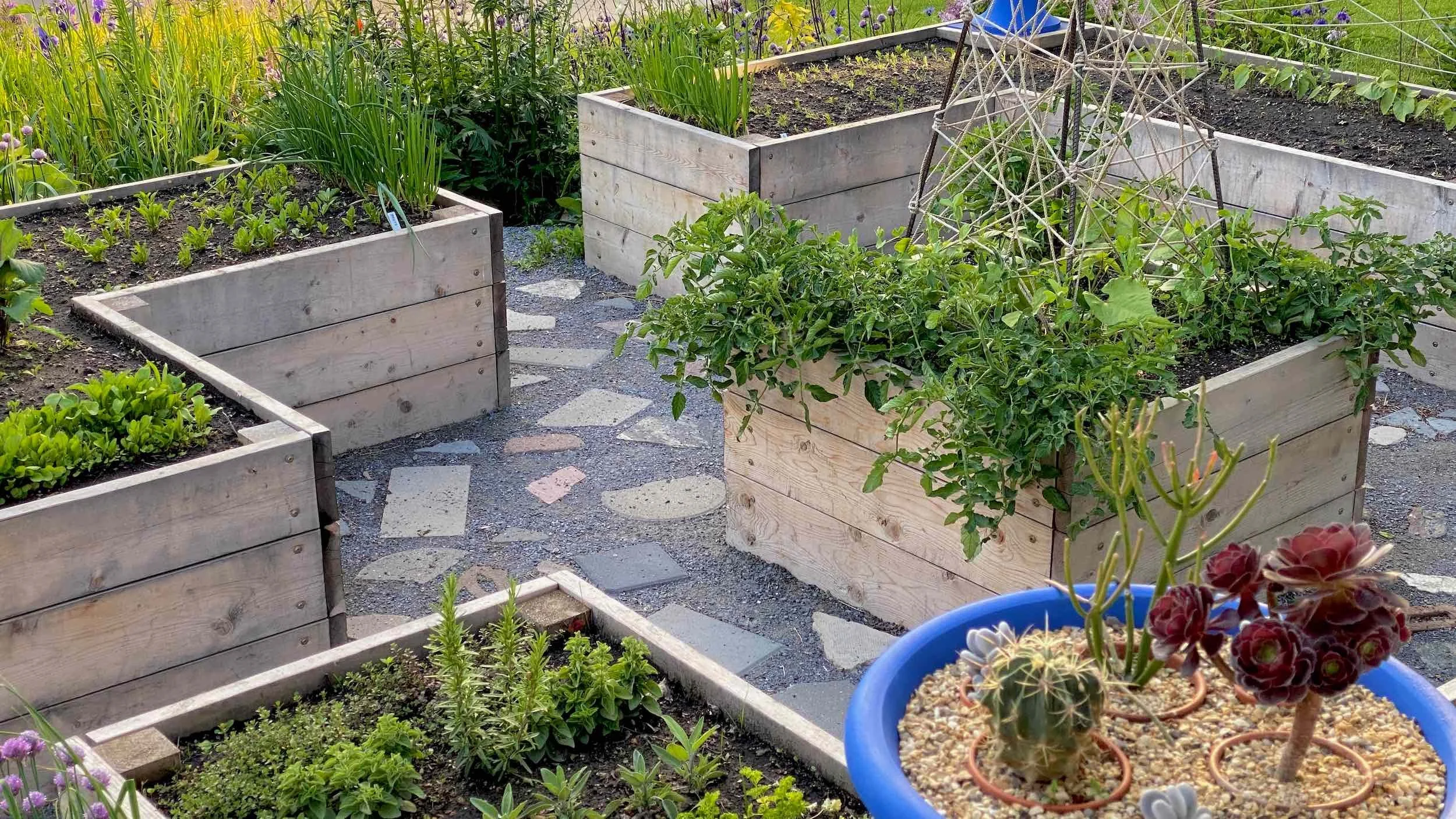 Kitchen Garden & Nursery with raised wood beds, young crops, stone paths and potted succulents
