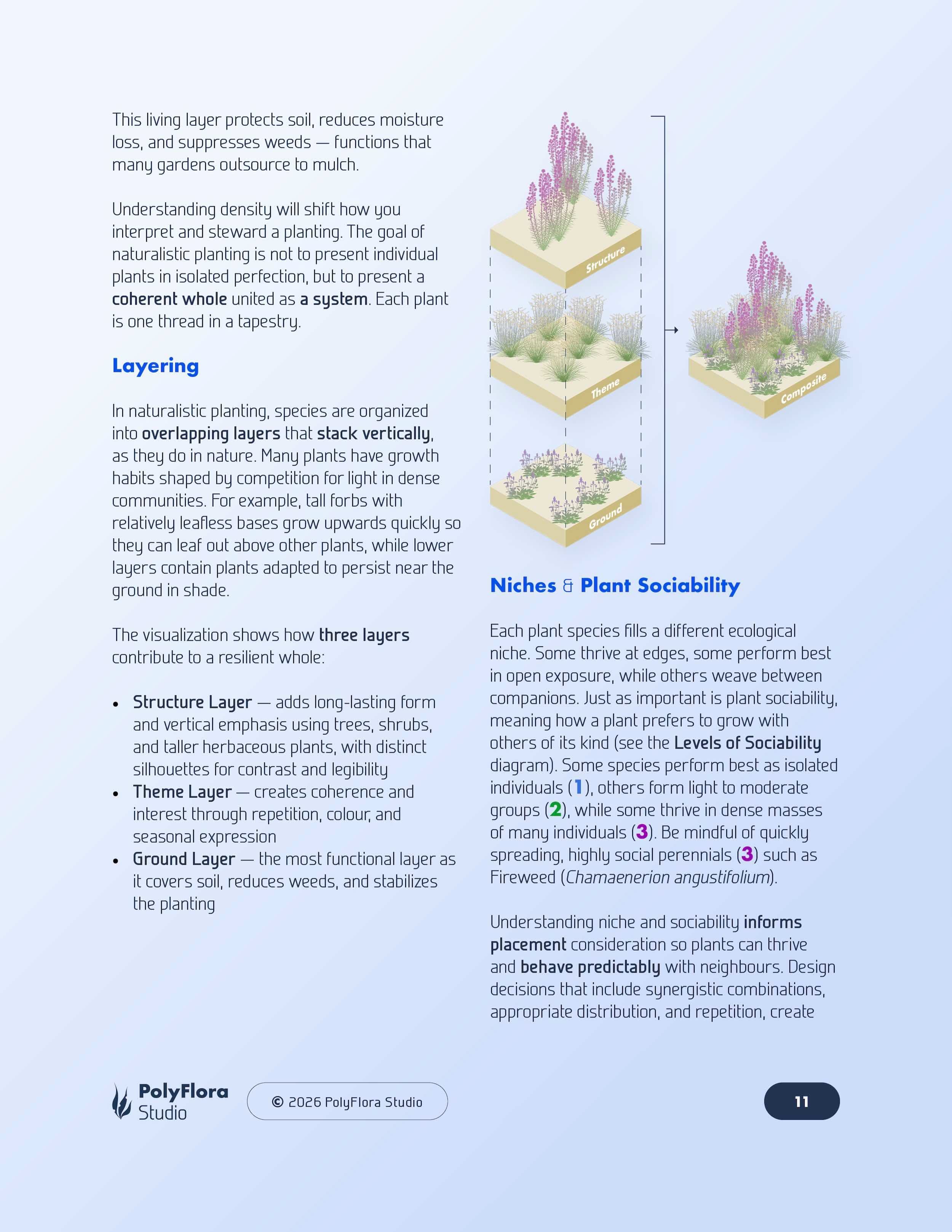 Toolkit page with niche and plant sociability notes plus CSR triangle and layered meadow structure diagram.