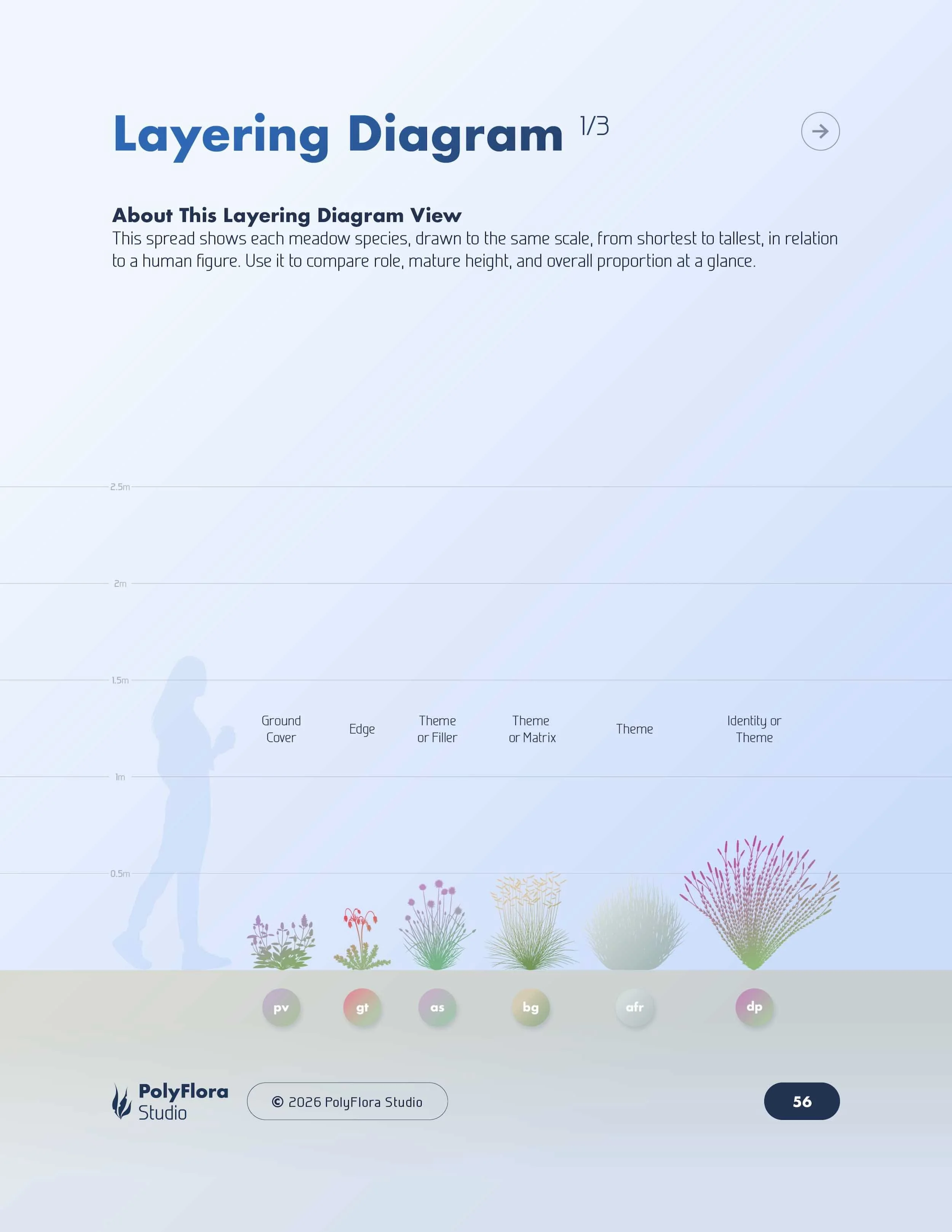 Layering diagram page showing plant heights arranged from low to high