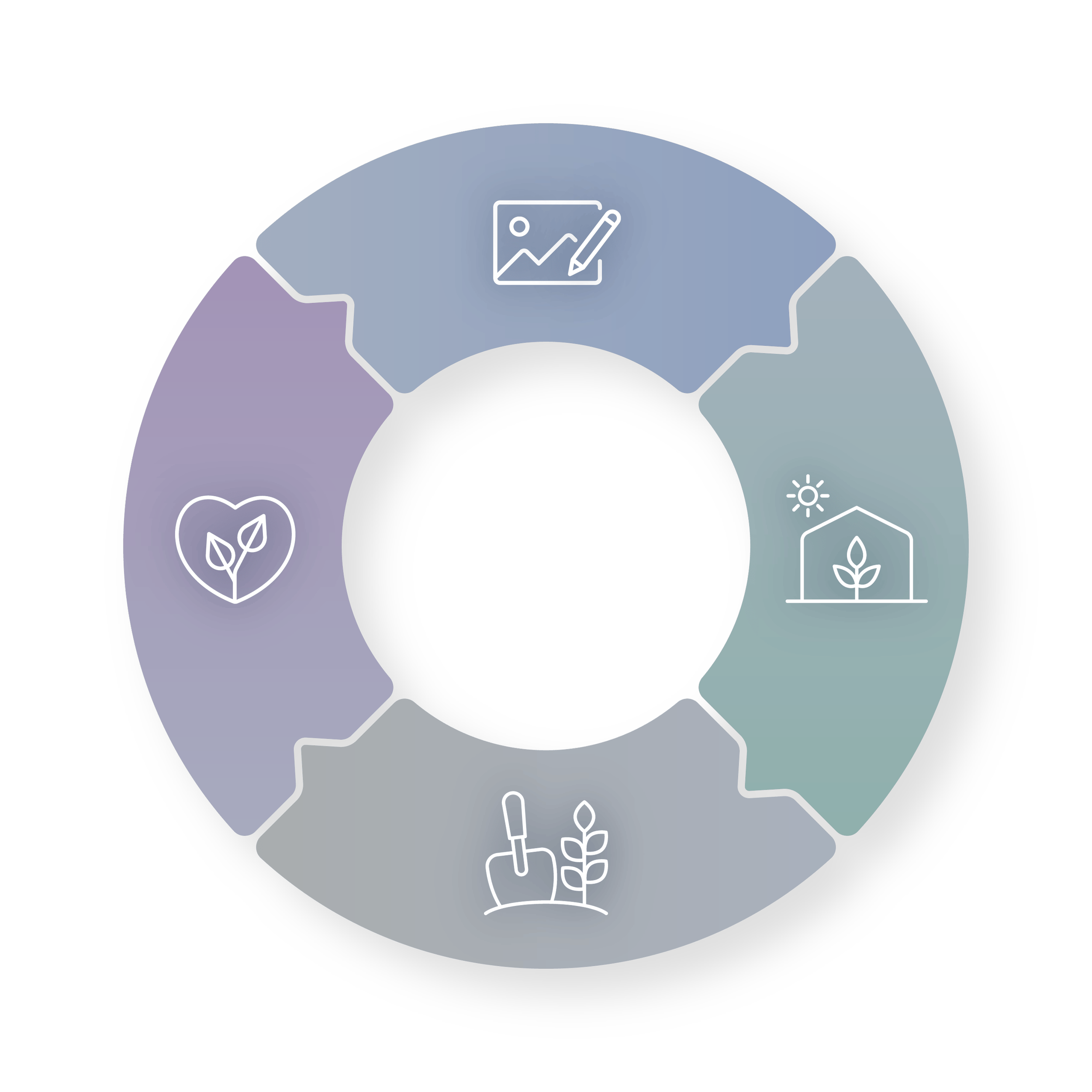 PolyFlora Pathway diagram showing the four phases that connect a garden planning framework to real implementation.