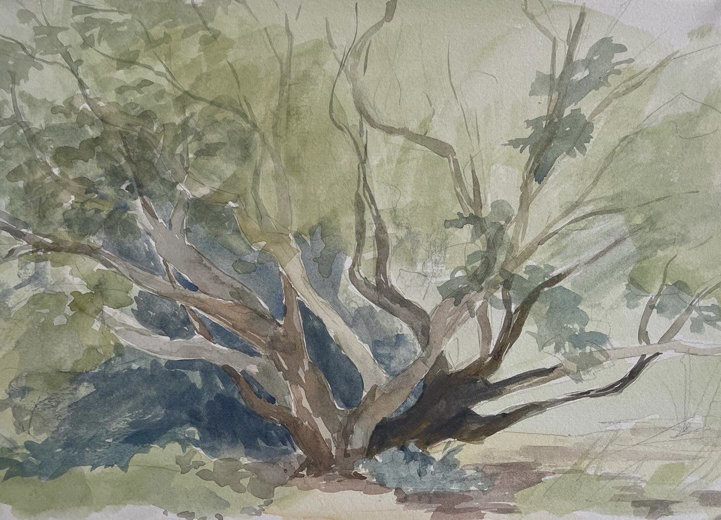 Afternoon in the Arboretum, watercolor on paper, 12"x8"
