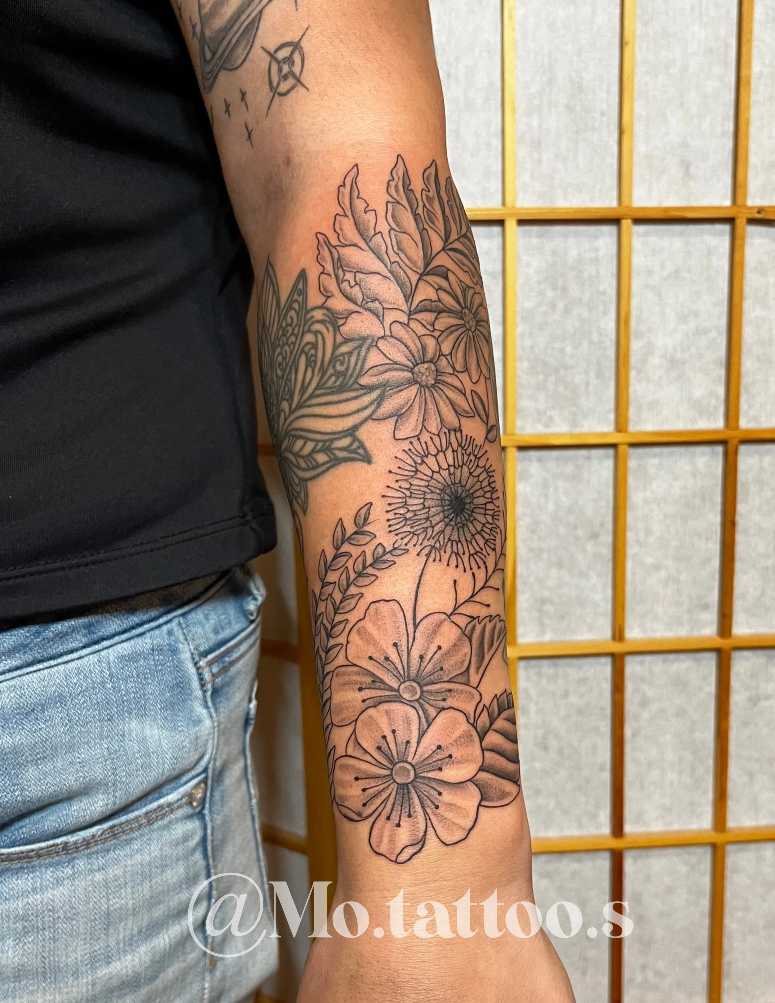 Untitled_Artwork 2.jpeg