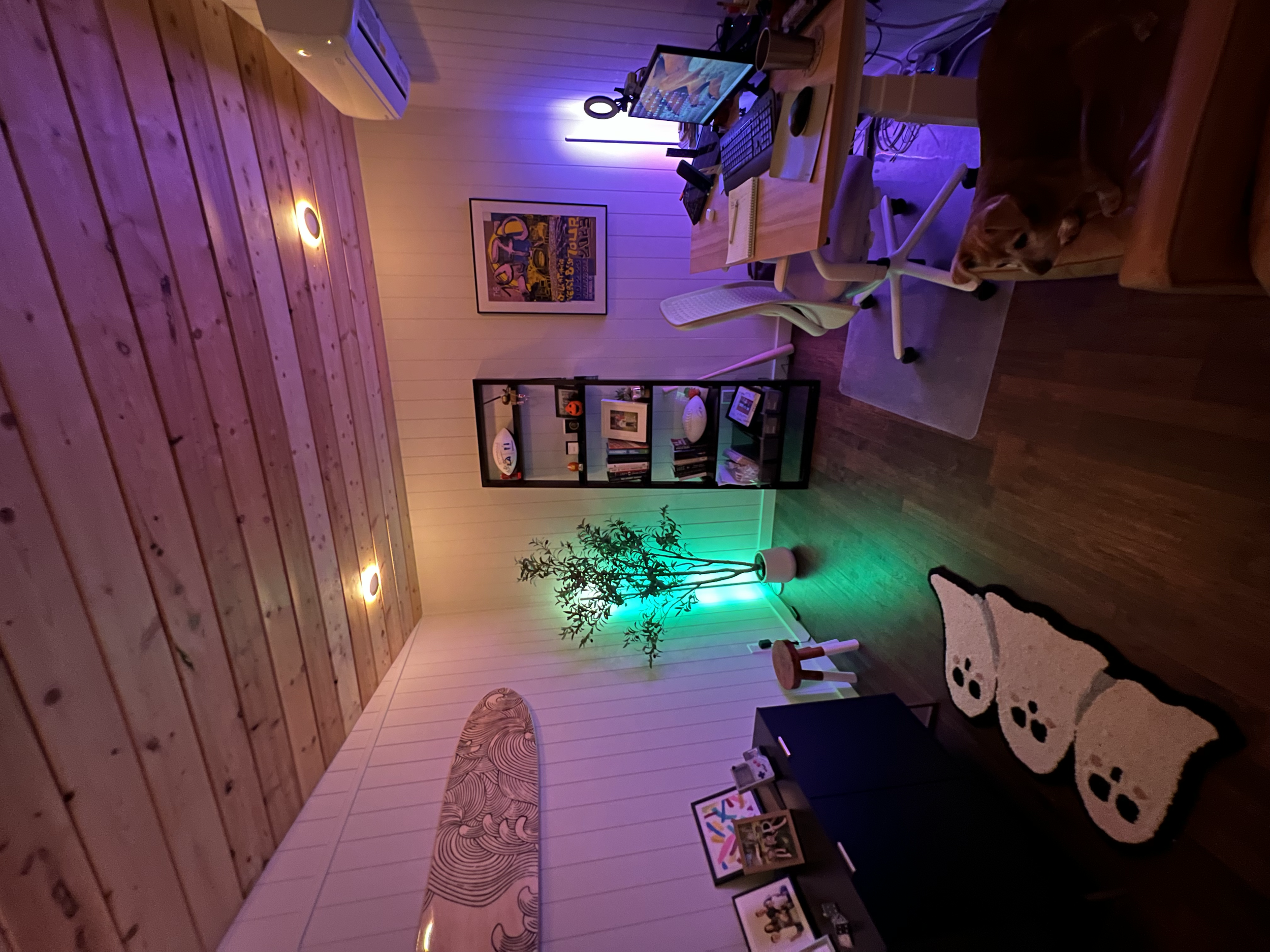 A cozy room inside a backyard studio shed with a wooden ceiling, pink wall paneling, a black bookshelf with decorations and books.