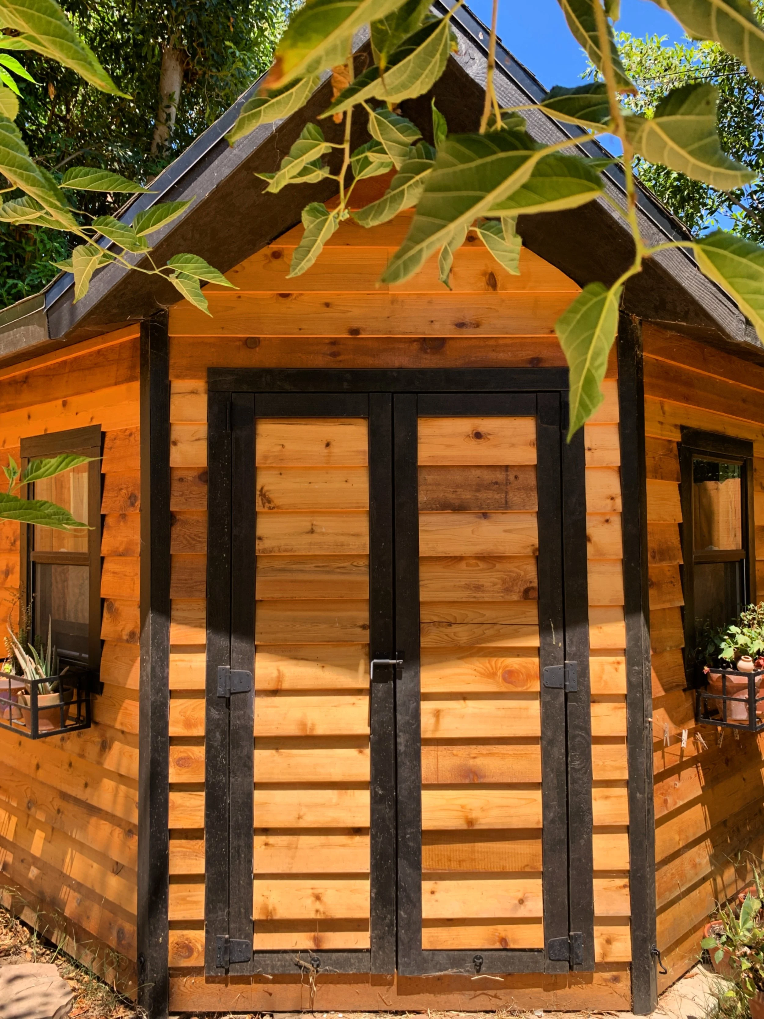 A wooden shed with black trim and black double doors, surrounded by green leaves and plants, under a clear blue sky.
