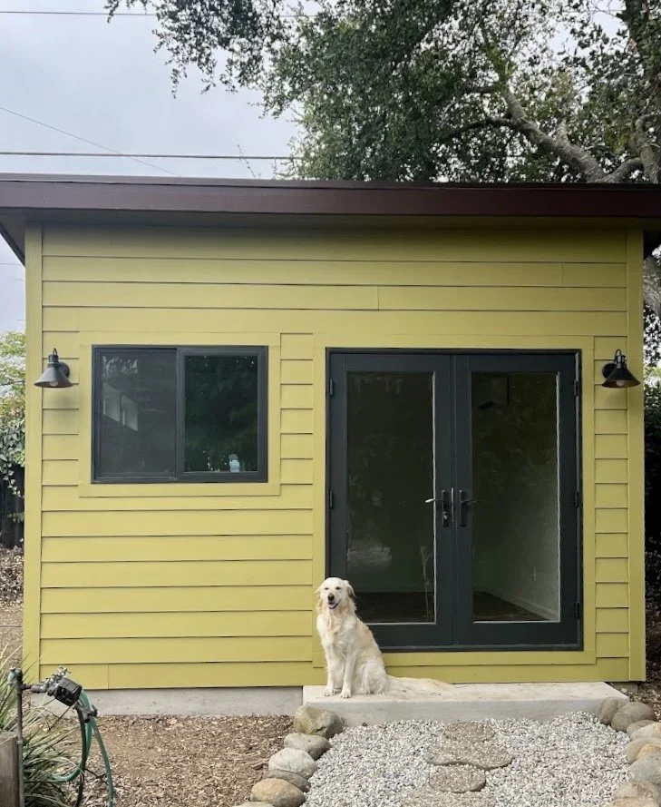 Yellow backyard studio shed with black-framed window and double glass doors, two exterior wall lights, and a dog sitting on the step outside.