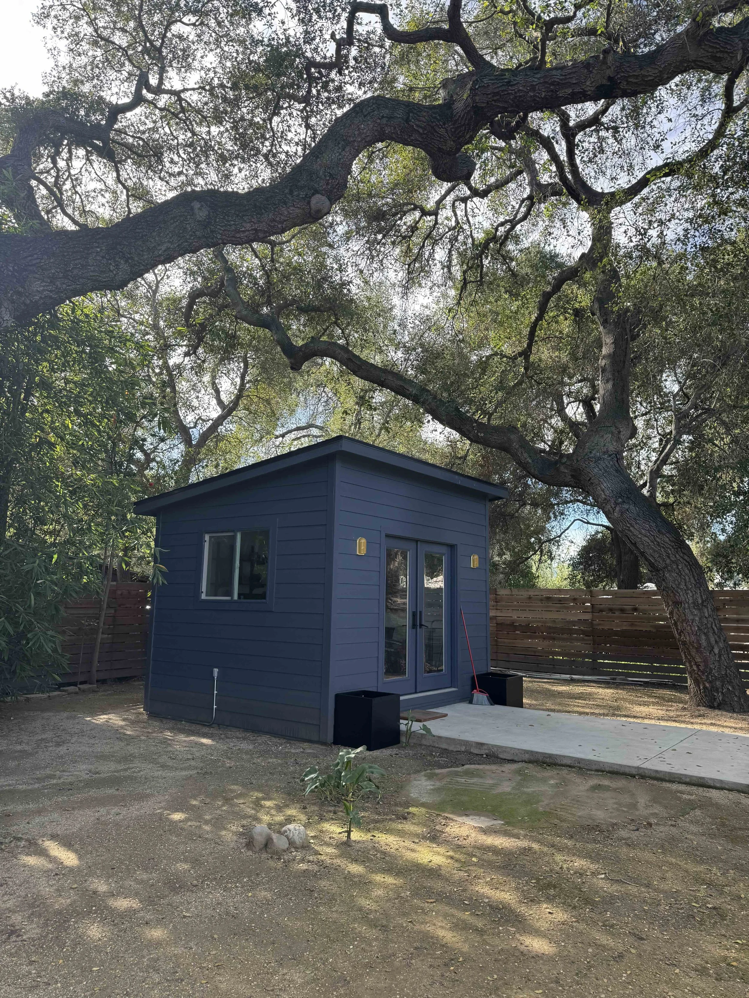 A small blue shed with two windows and a glass door, situated in a yard with dirt and patches of grass. A large tree with twisted branches towers over the shed, and a wooden fence surrounds the yard. A red broom leans against the shed, and two black 