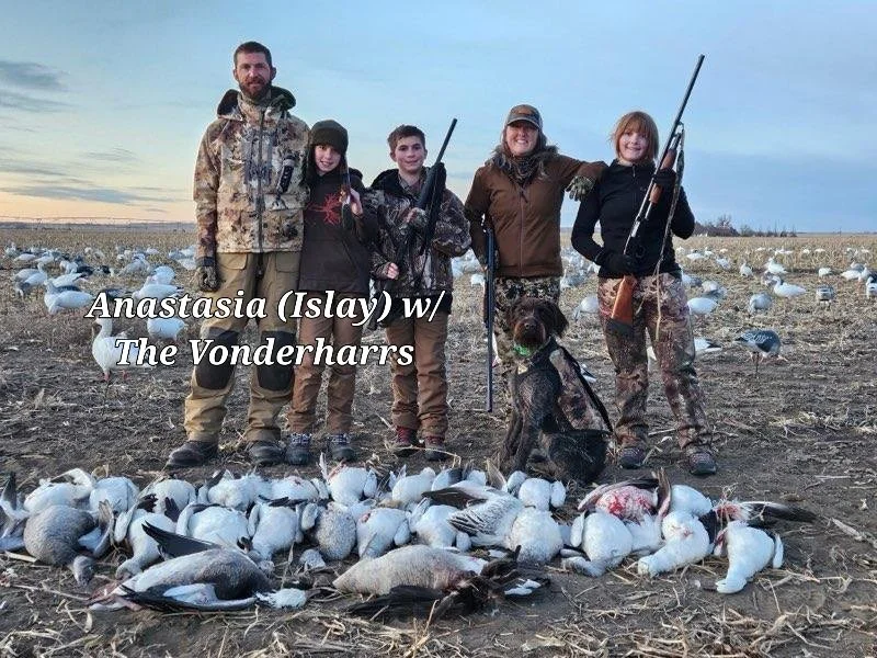 Goose Slayer