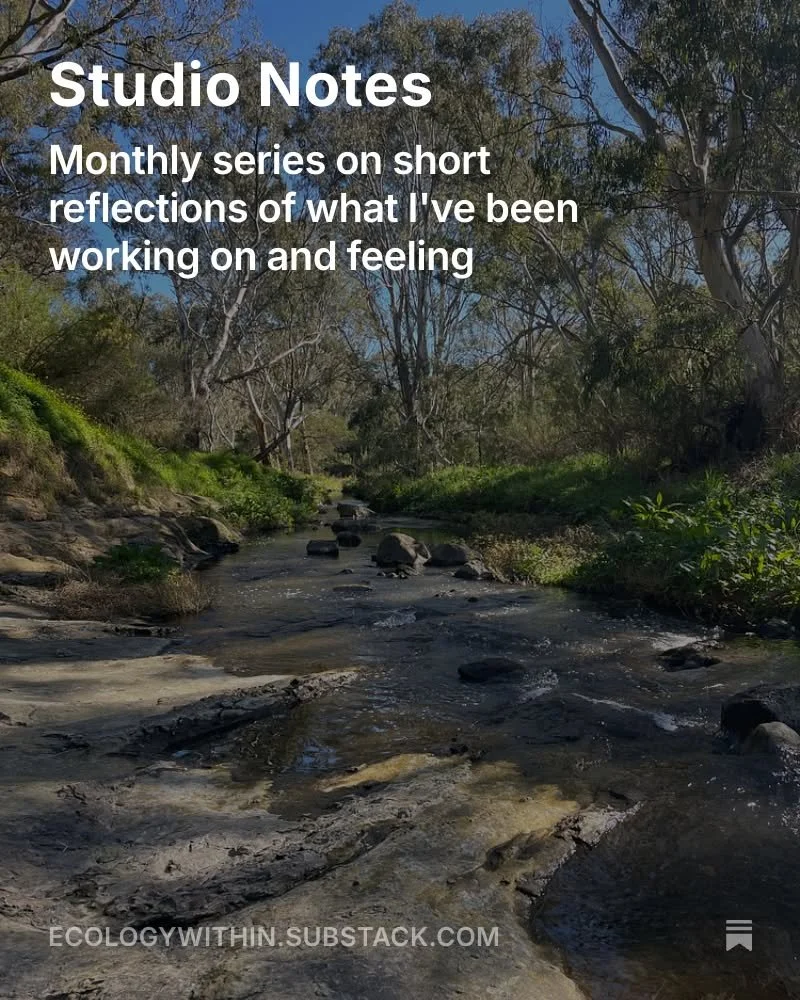 Pals, I&rsquo;ve finally taken the leap and started a Substack - a little corner of the internet where I&rsquo;ll be sharing reflections, writing, and behind-the-scenes thoughts on creativity, healing, and our connection to the earth 🌿

My latest po