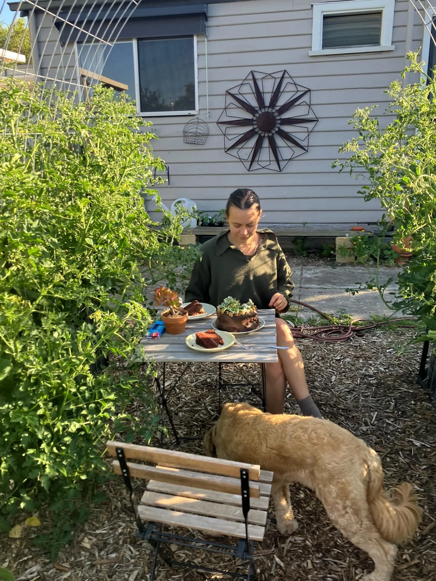 A moment for this vegan chocolate cake for my loves birthday and a garden that keeps getting better

Wishing everyone a beautiful 2026 🌼