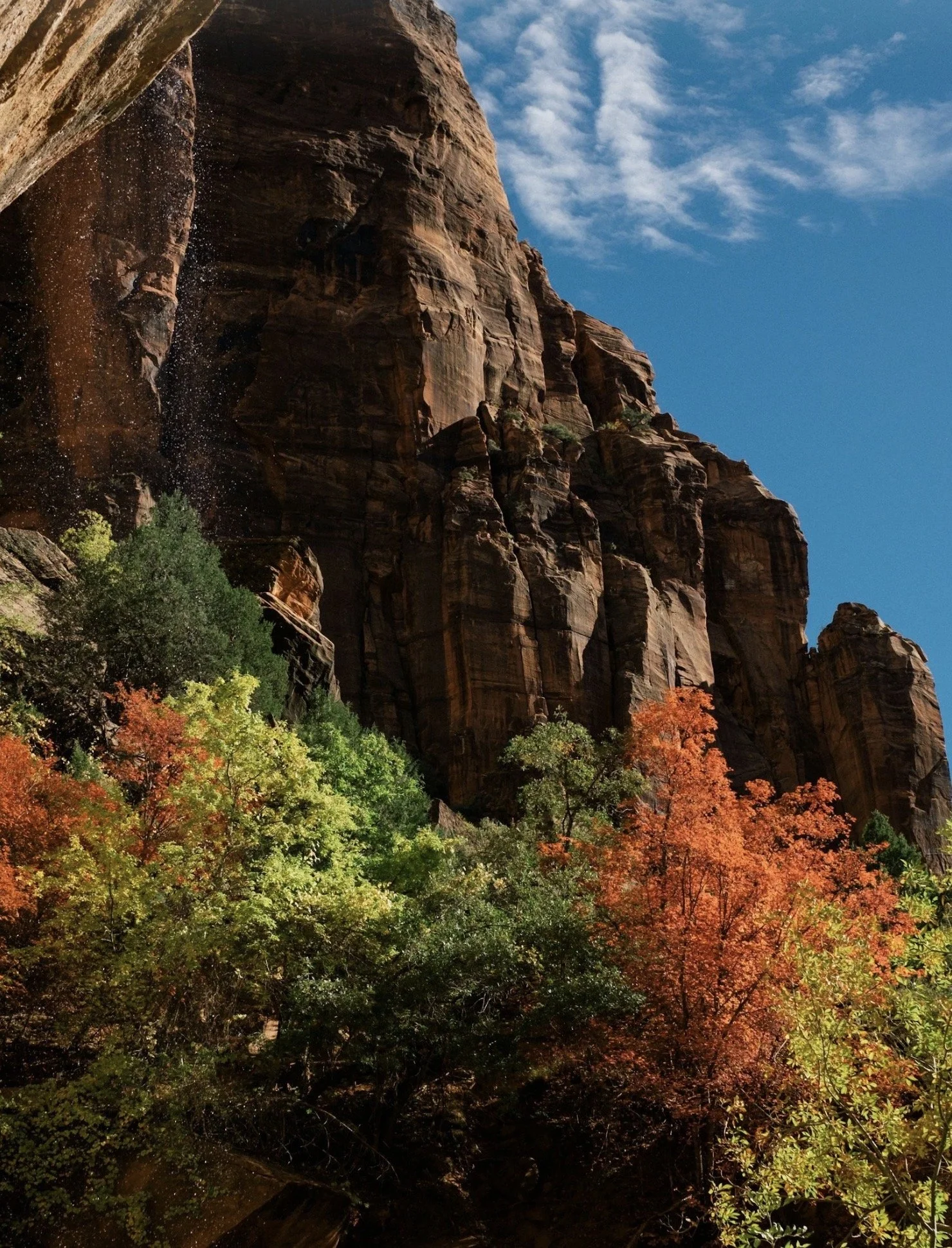 Embrace Autumn Colors – Zion’s Best Fall Hikes