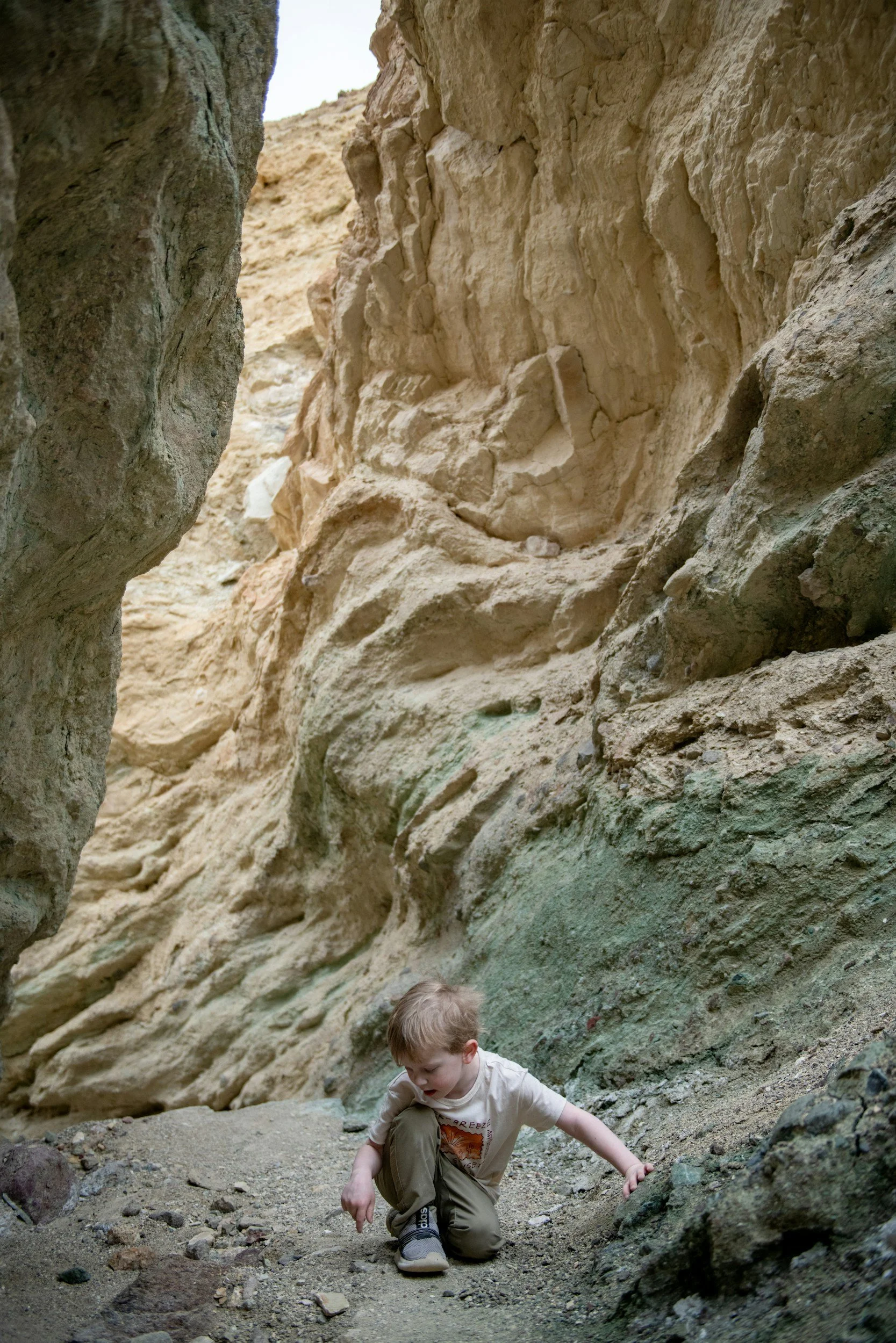 Family‑Friendly Adventures in Springdale and Zion!