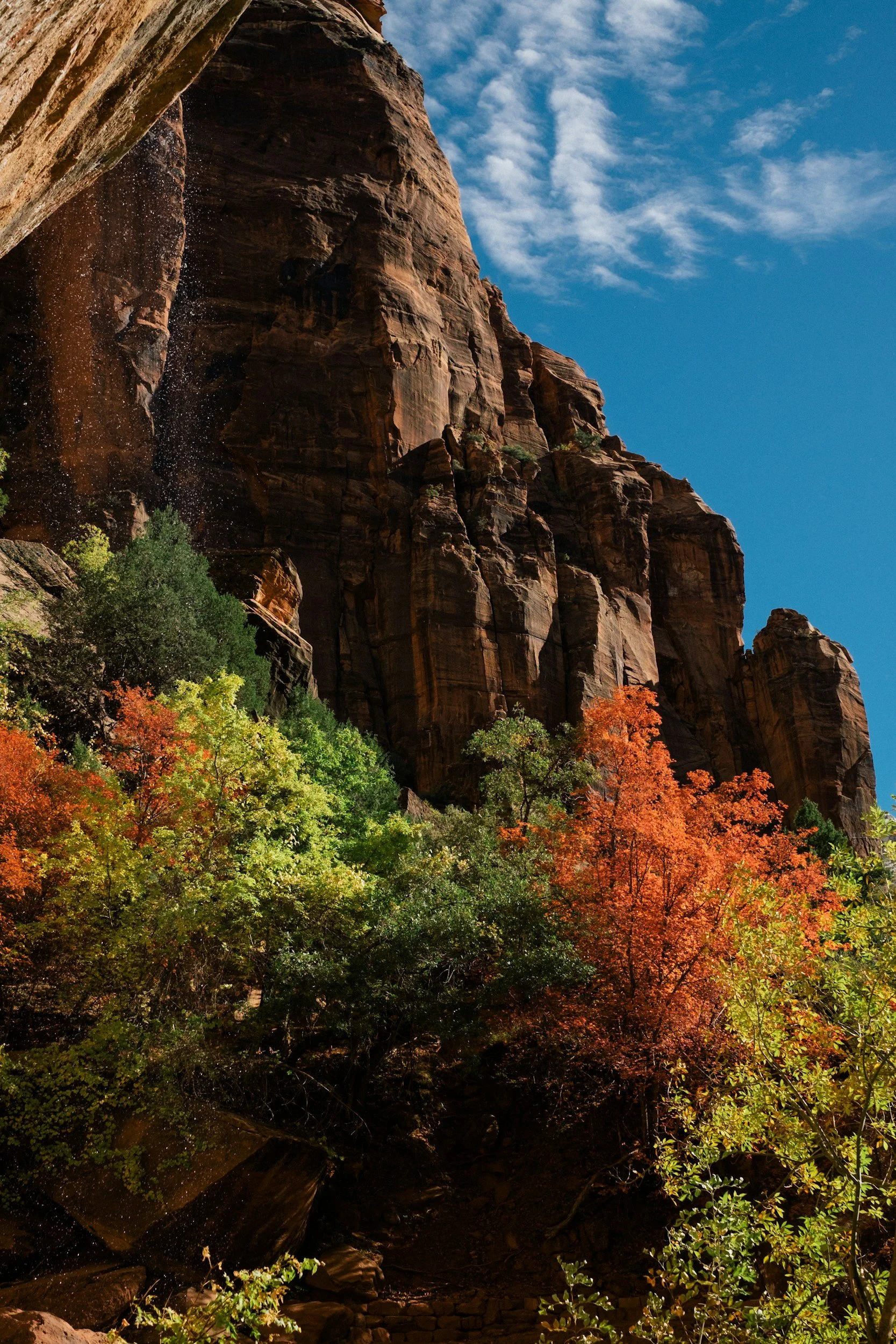 Zion in October: Weather, Crowds, and a Smarter Fall Visit