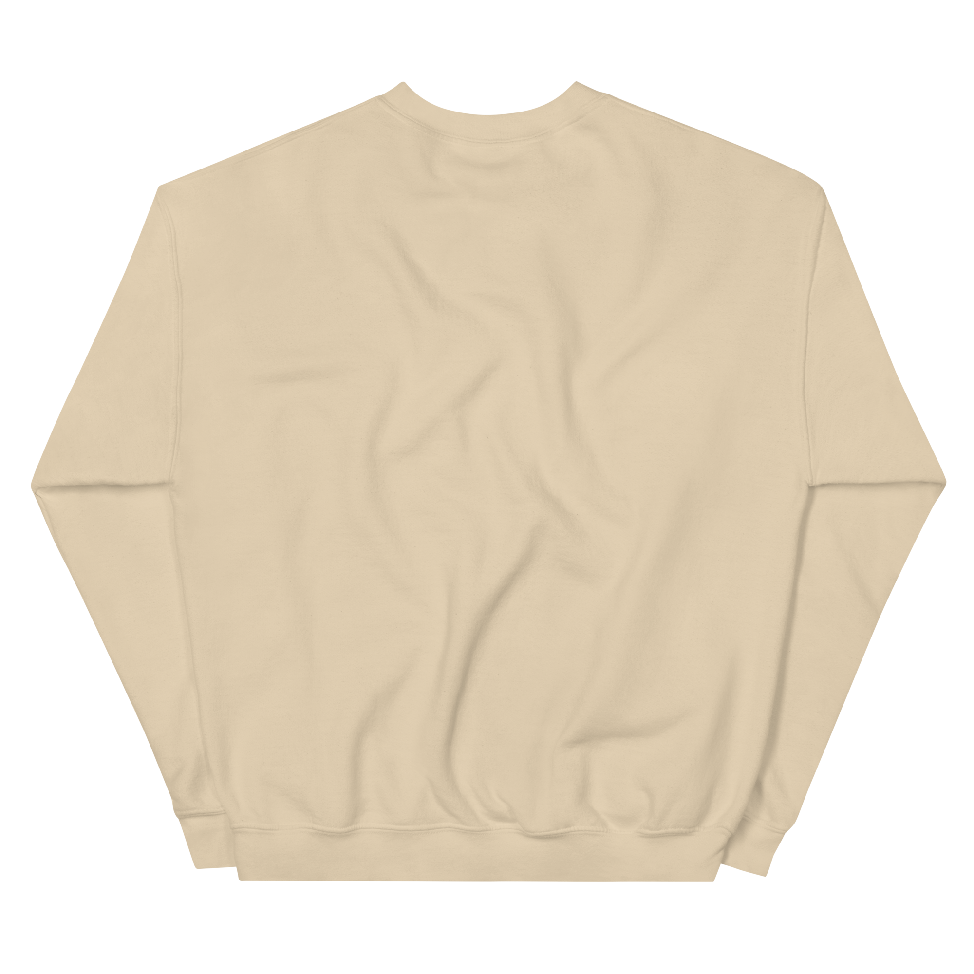 unisex-crew-neck-sweatshirt-sand-back-6955672f7479b.png