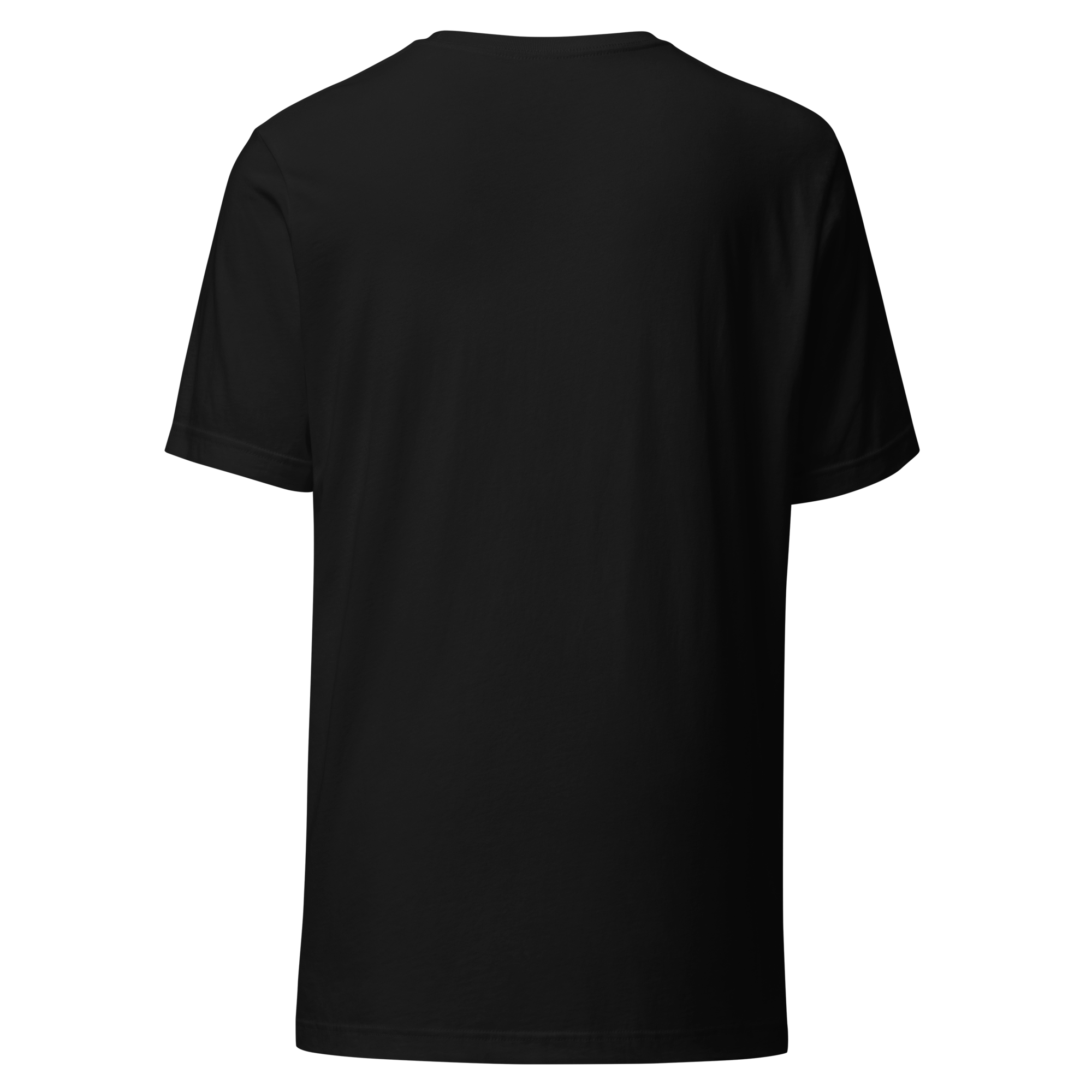unisex-staple-t-shirt-black-back-69556842166a9.png