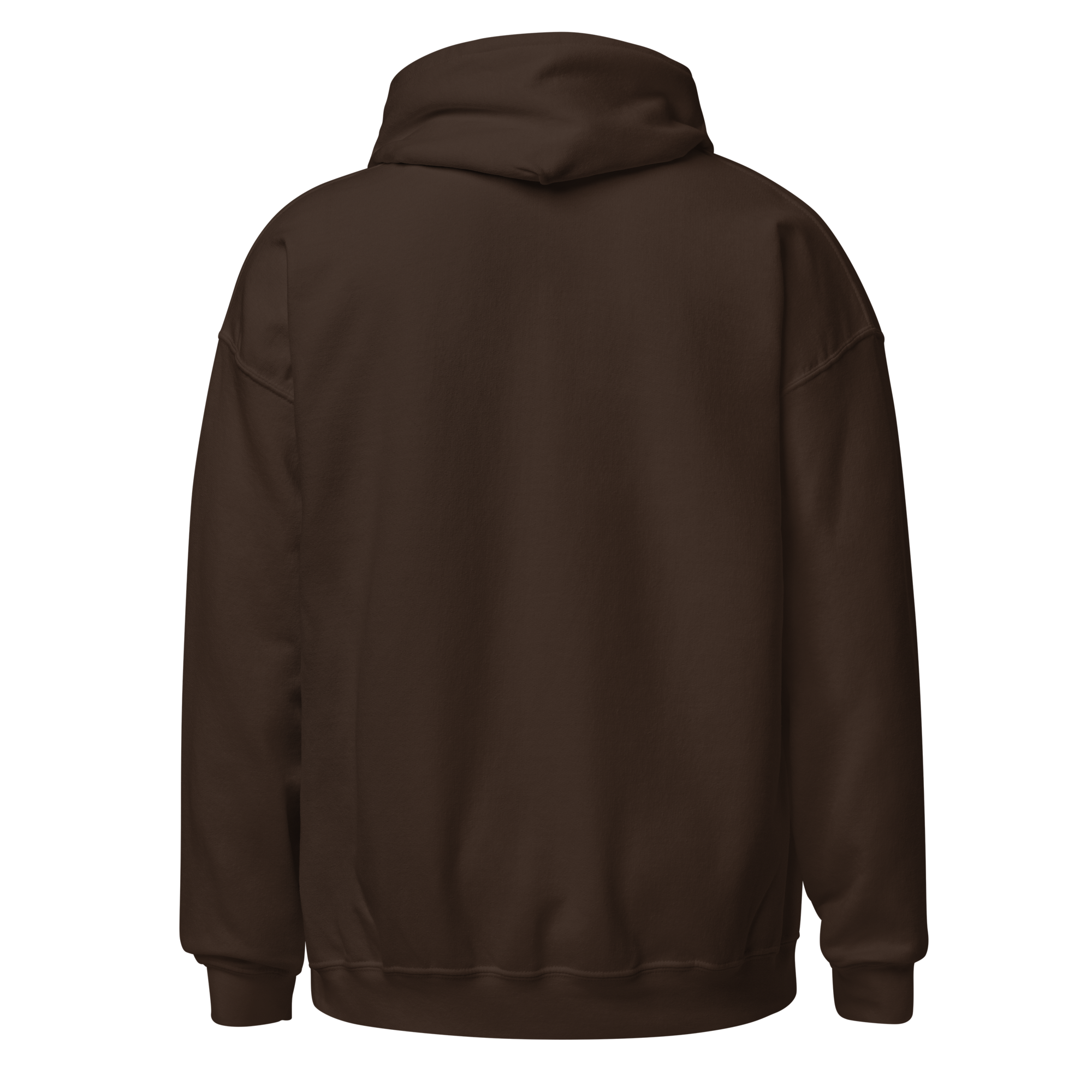 unisex-heavy-blend-hoodie-dark-chocolate-back-695566c4ad91a.png