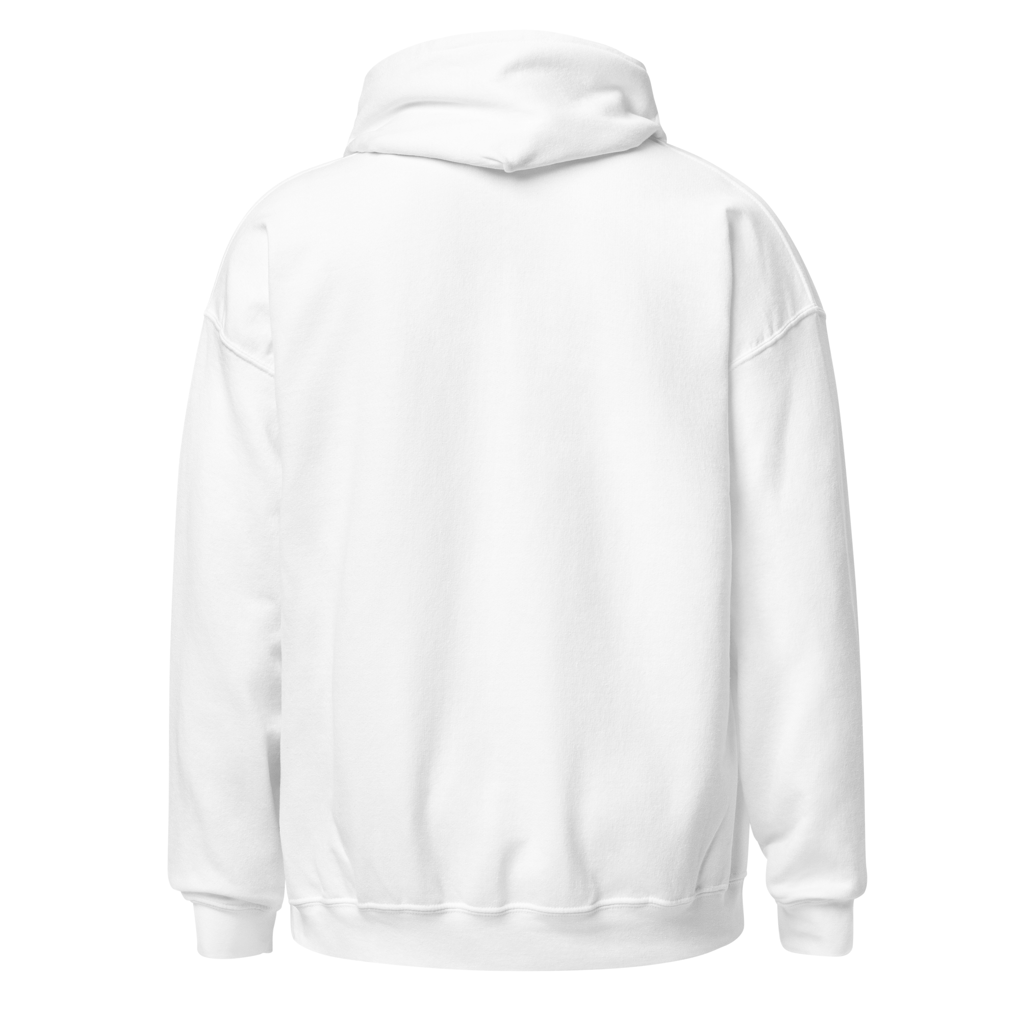 unisex-heavy-blend-hoodie-white-back-695566c4adaf5.png