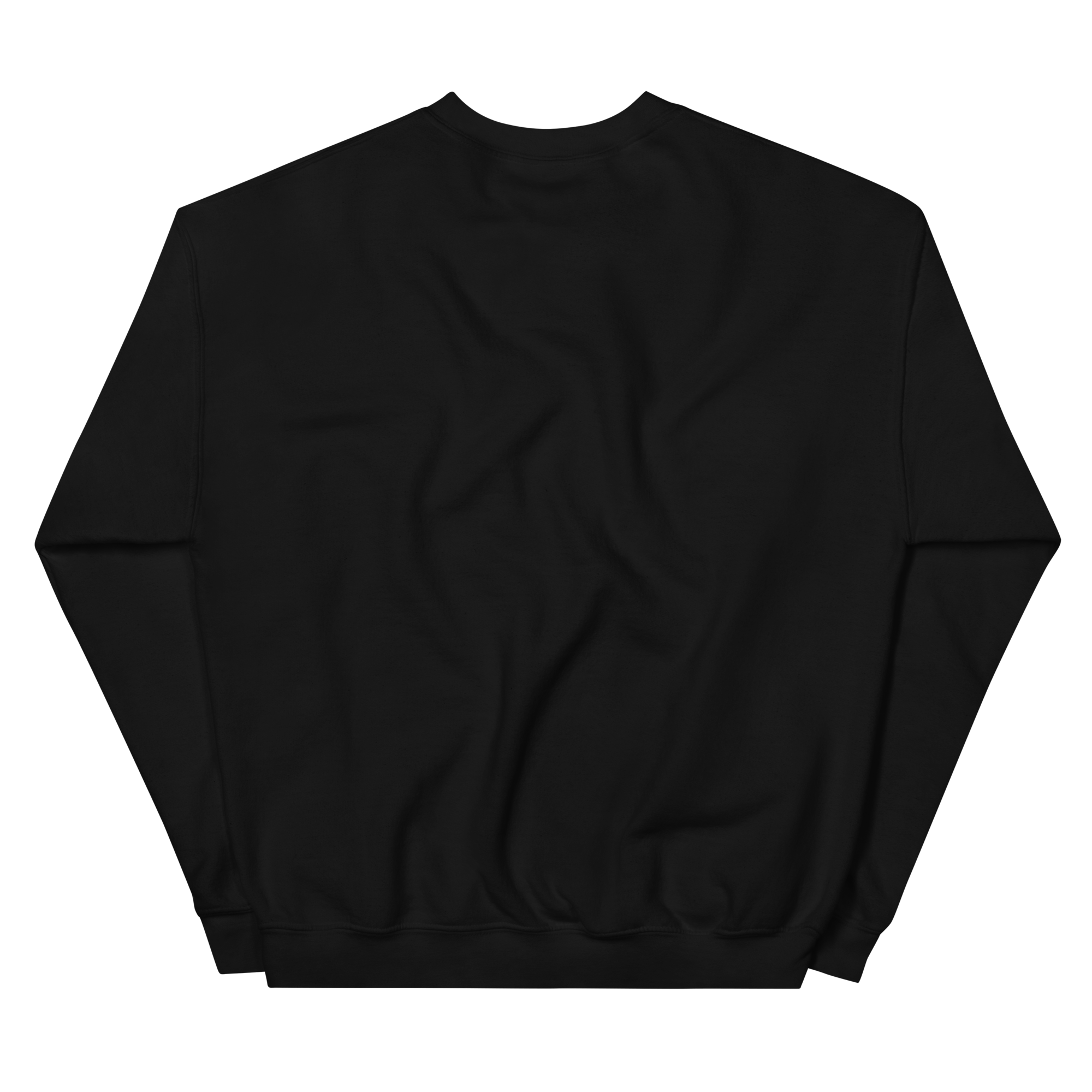 unisex-crew-neck-sweatshirt-black-back-6955672f74676.png
