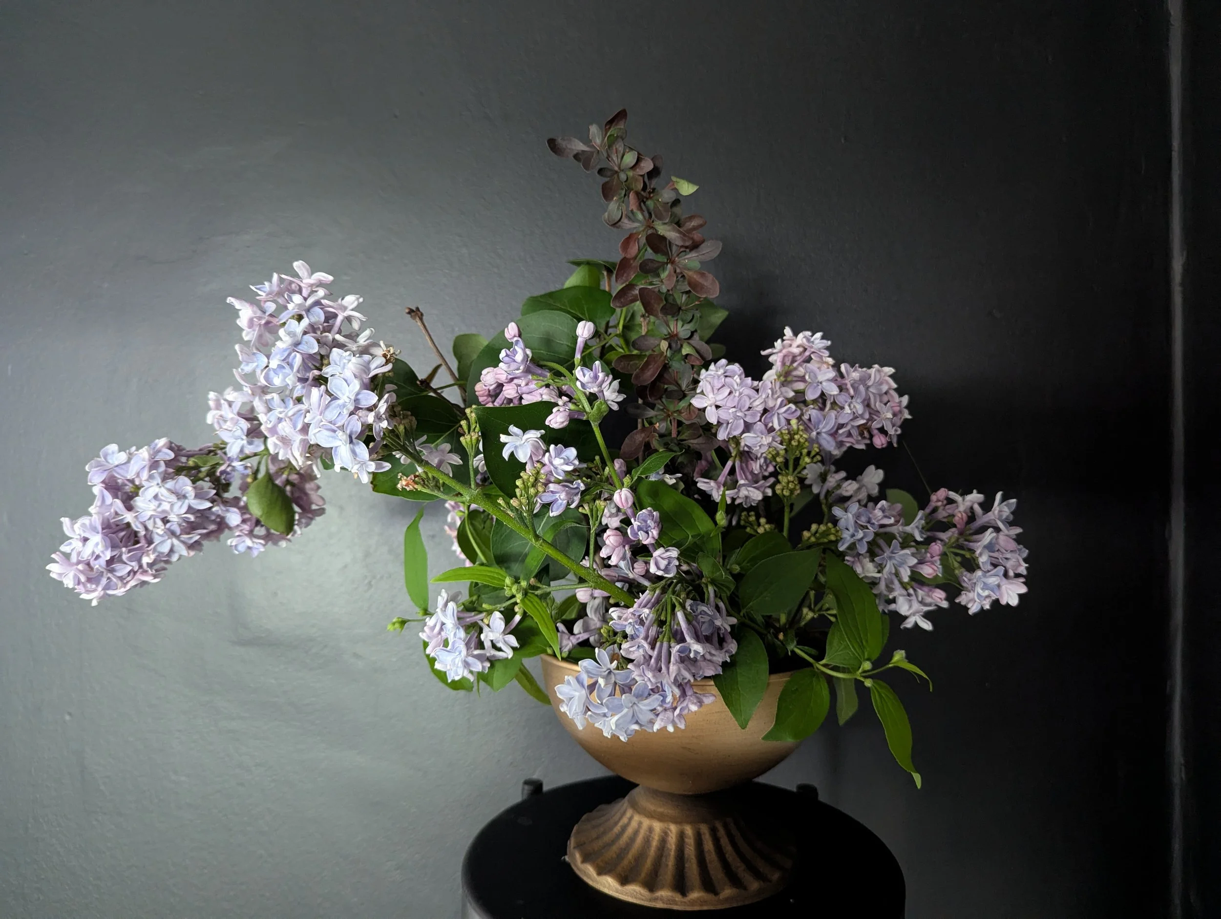 28-lilac.jpg