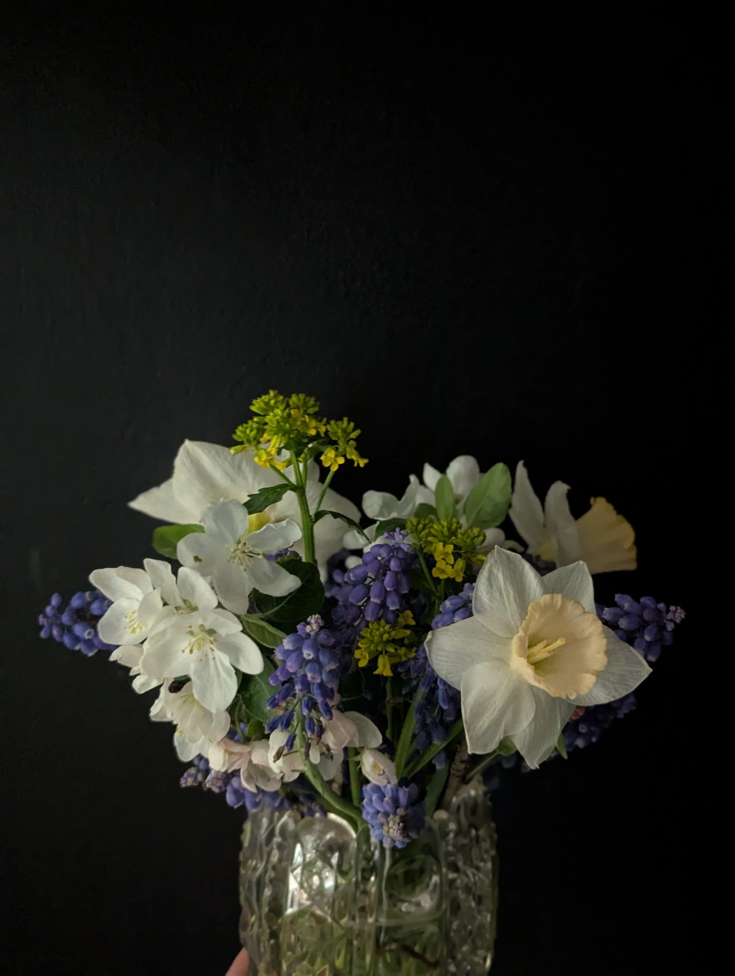 29-daffodil.jpg
