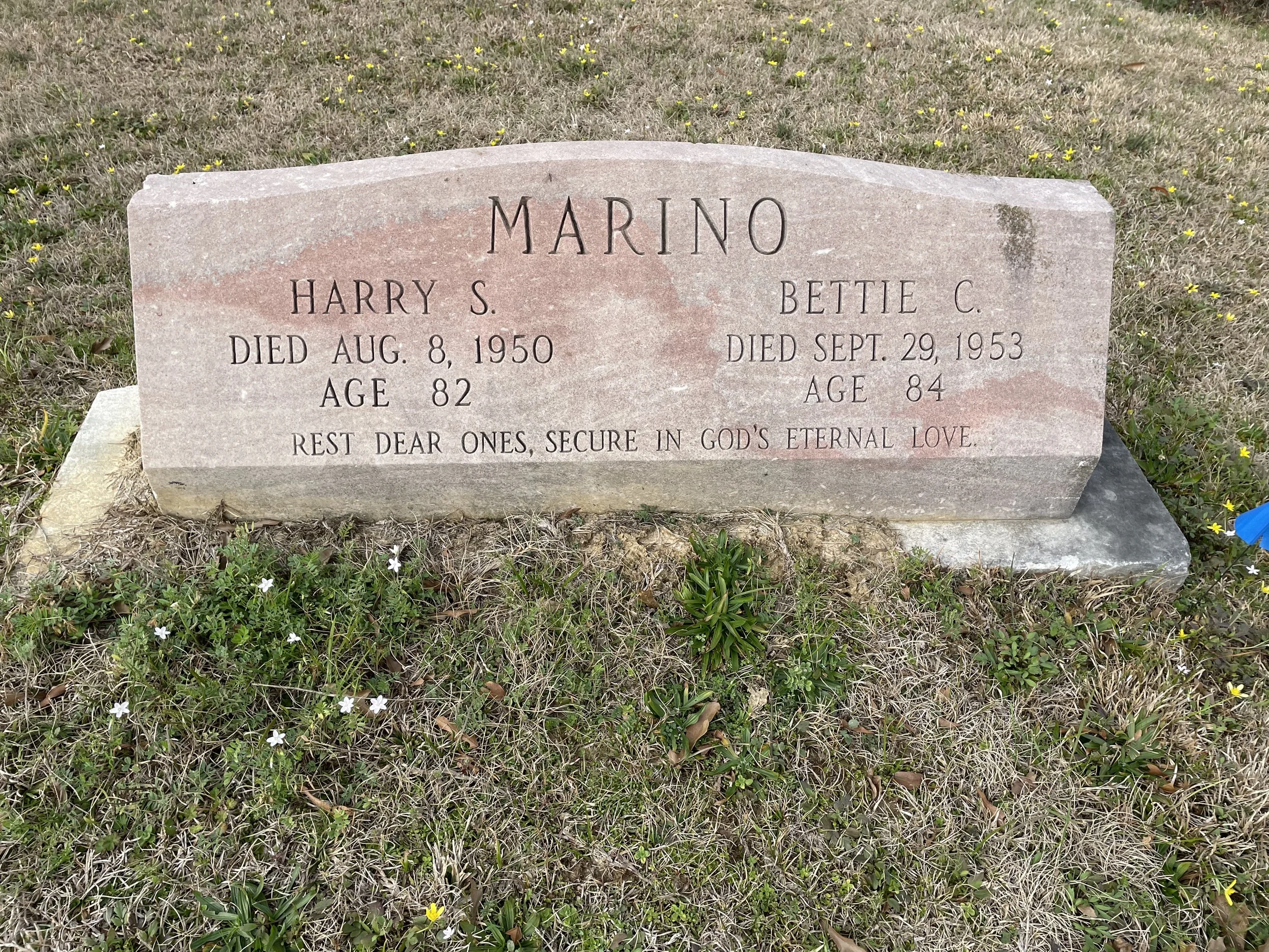 Bettie C. Marino: Educator, Organizer, and Builder of Institutions in Jackson