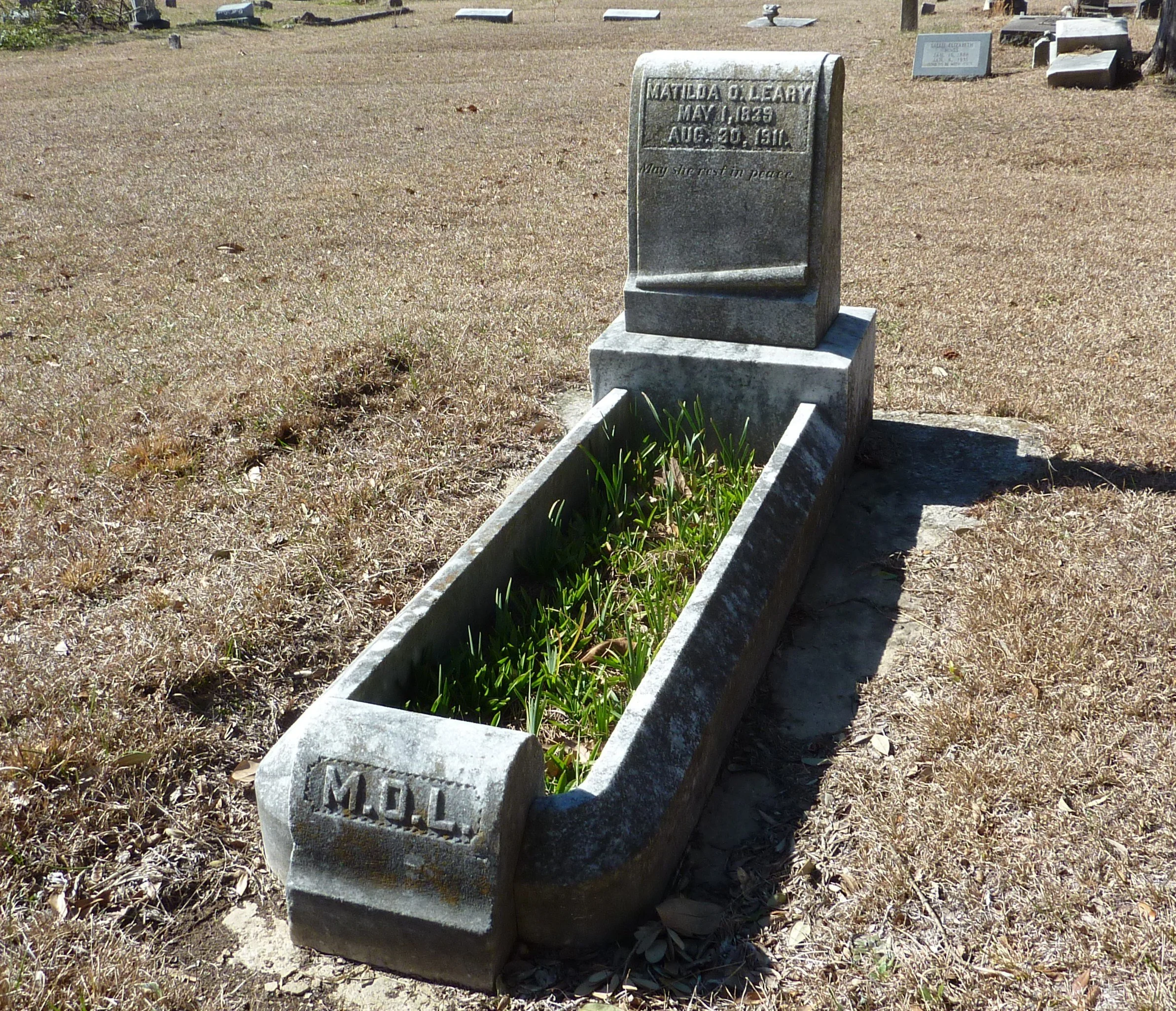 Matilda O’Leary: An Irish Immigrant Who Helped Build Jackson 