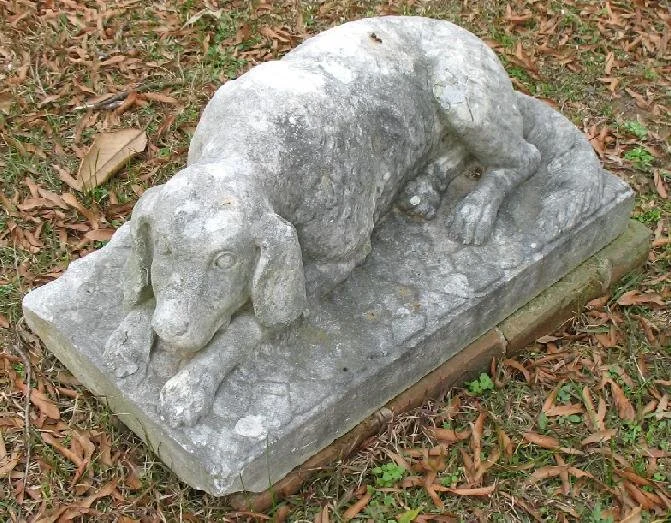 The Murder of Dr. Locke Chew and the Legend of the Simms Dog 