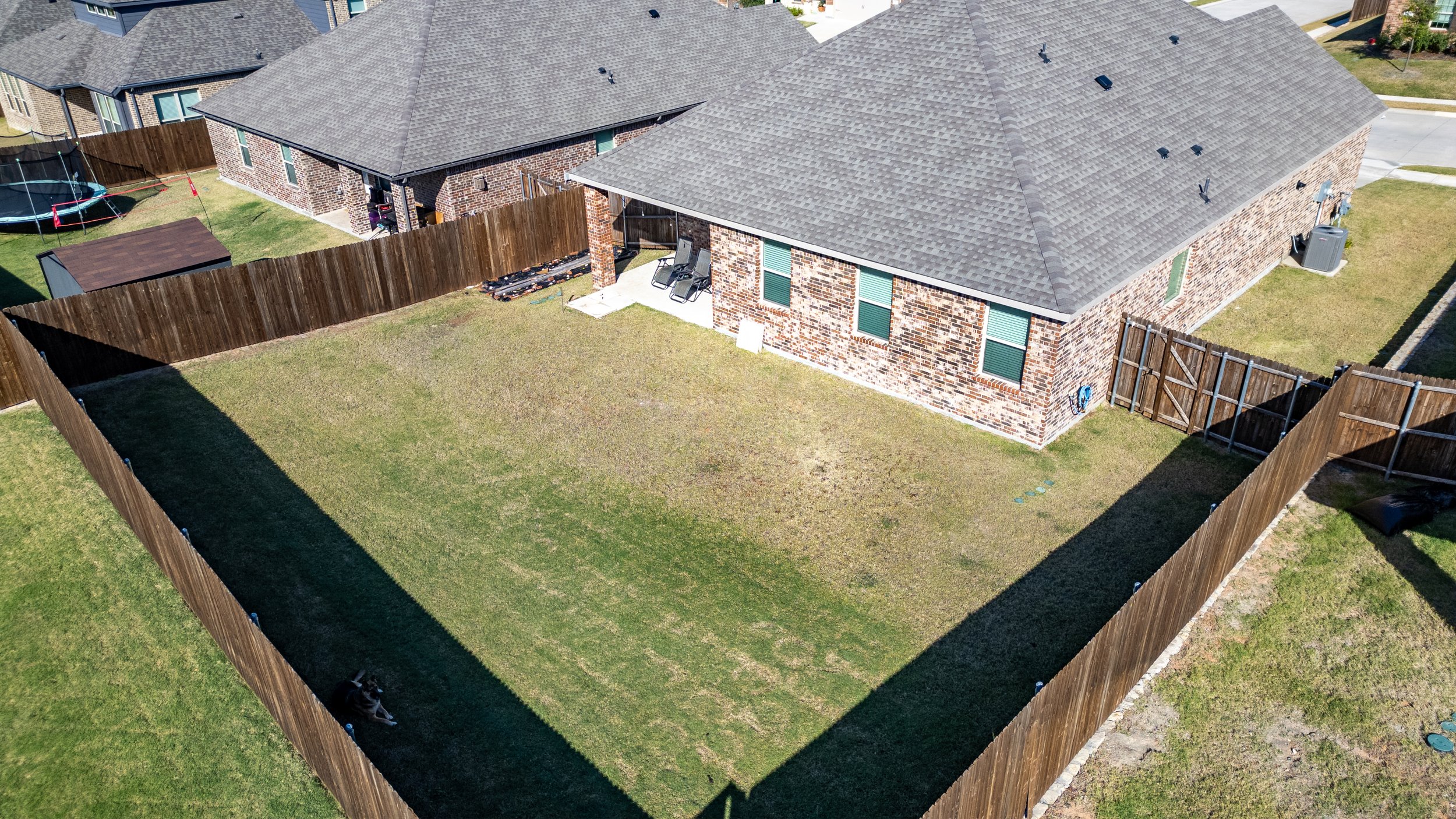 A backyard with a grassy lawn enclosed by a wooden fence, with a brick house in the background and a small dog lying in the grass.
