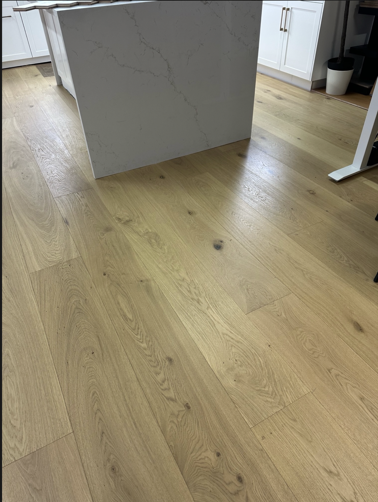 Screenshot 2026-03-02 at 2.53.28 PM.png