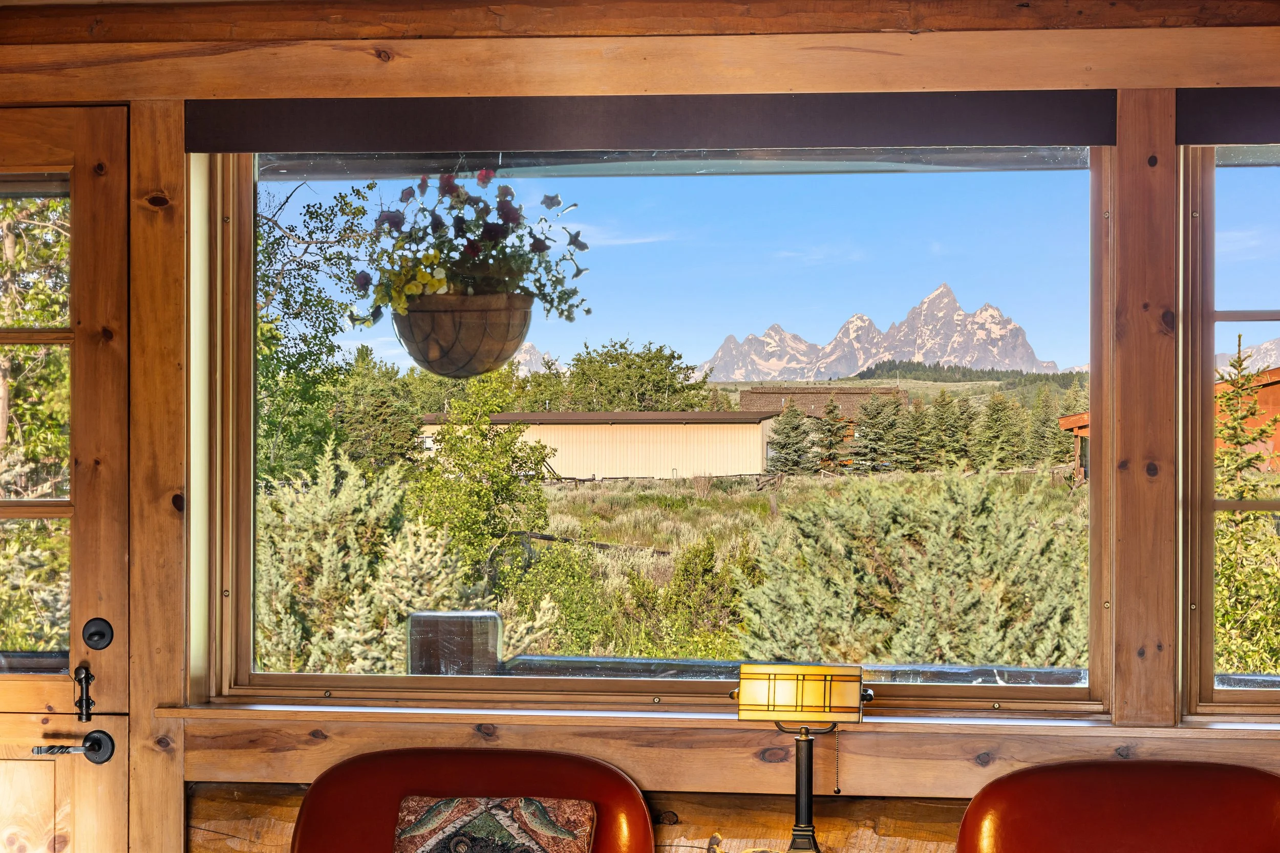 Living Room View